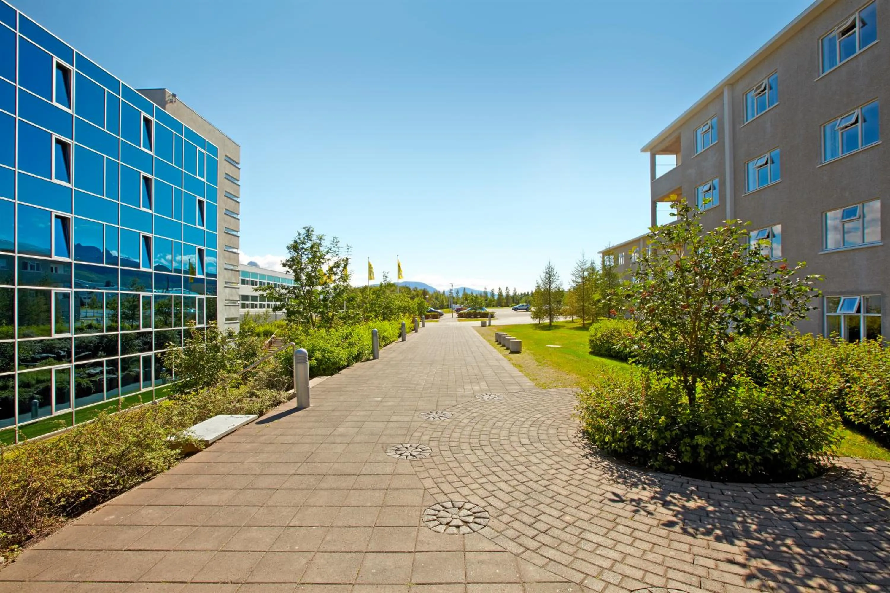 Area and facilities in Hotel Edda Akureyri