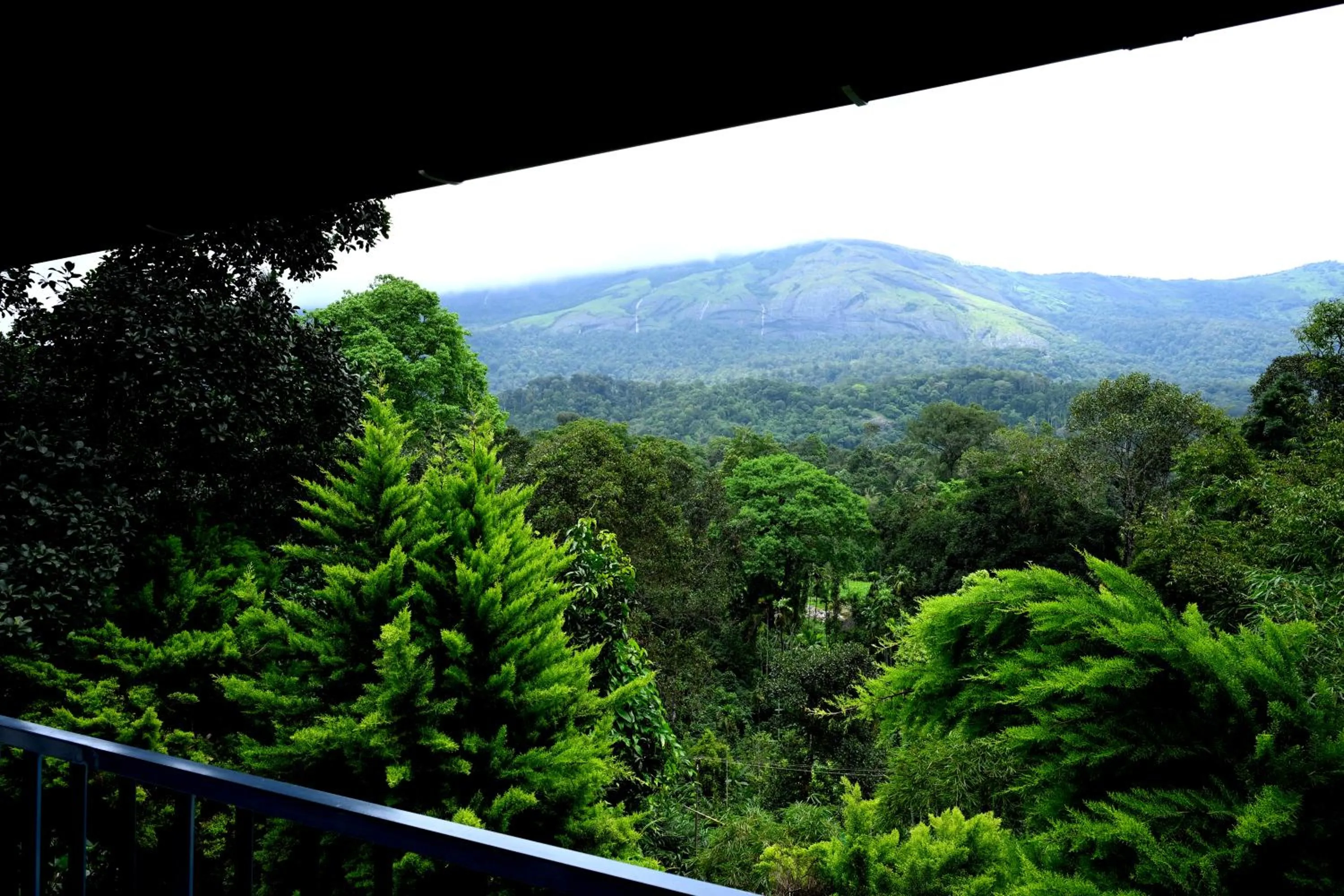 View (from property/room) in Spring Muunnar, Munnar