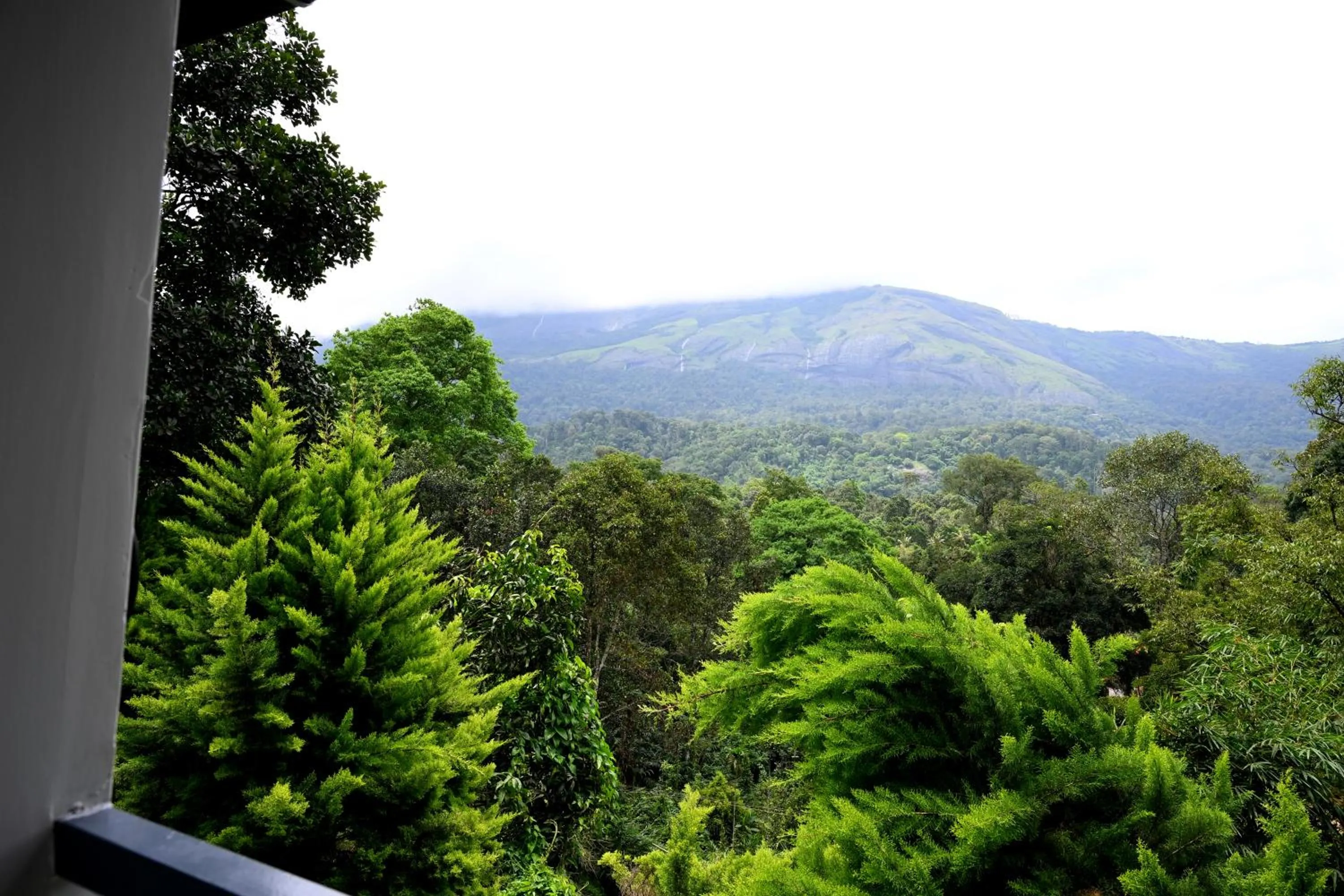 Natural landscape in Spring Muunnar, Munnar