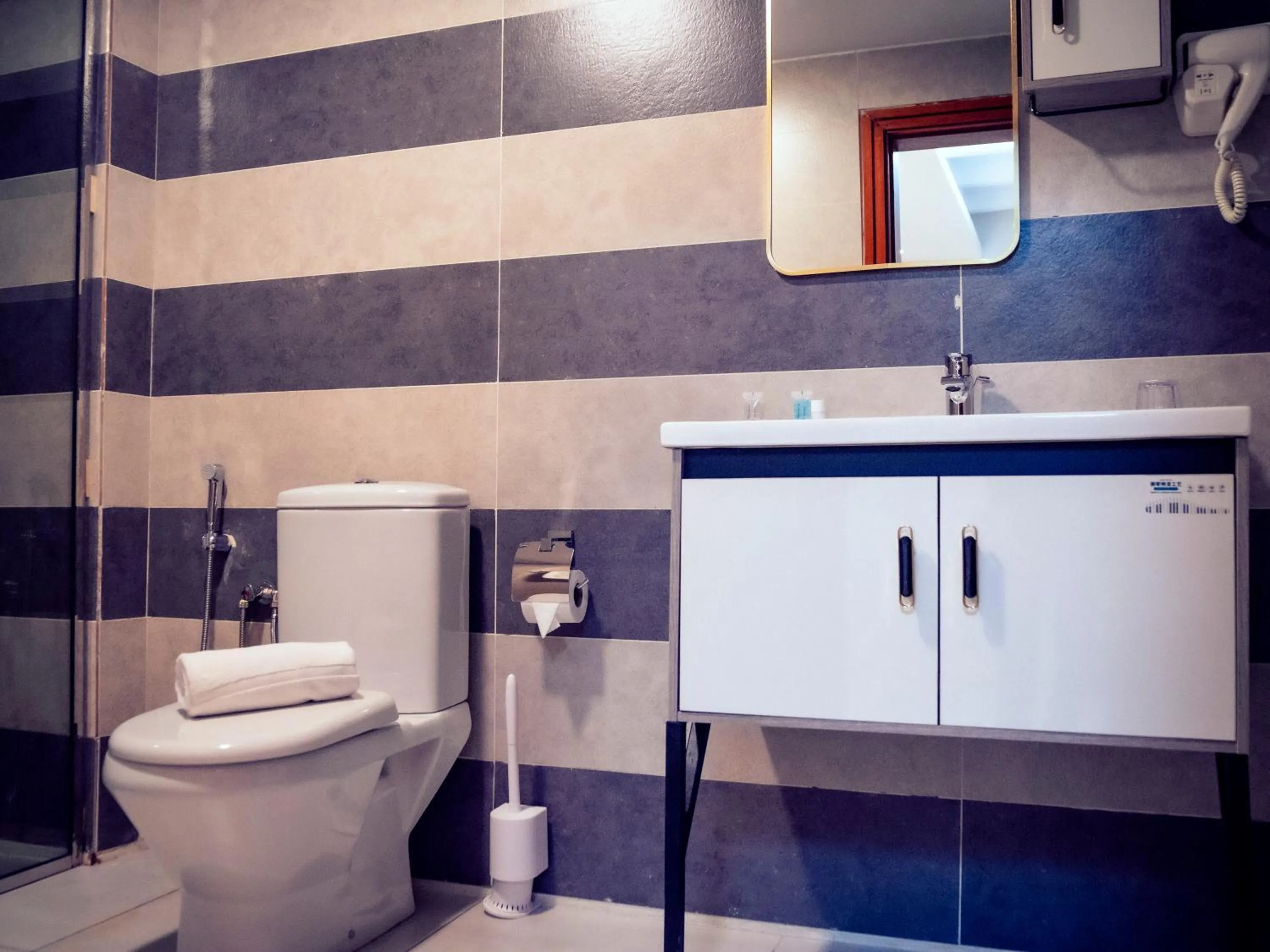 Toilet, Bathroom in Geneva Hotel