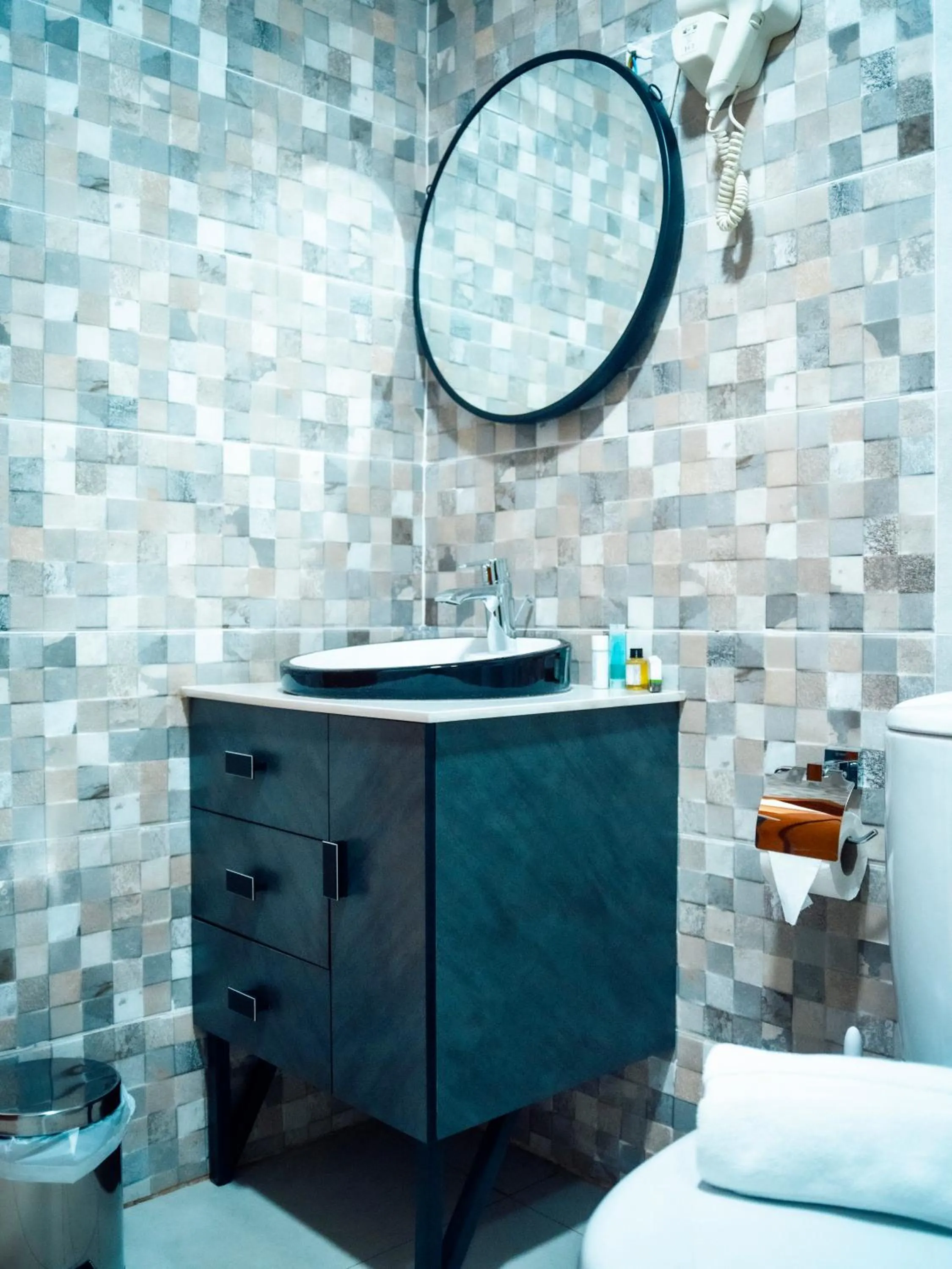 Toilet, Bathroom in Geneva Hotel