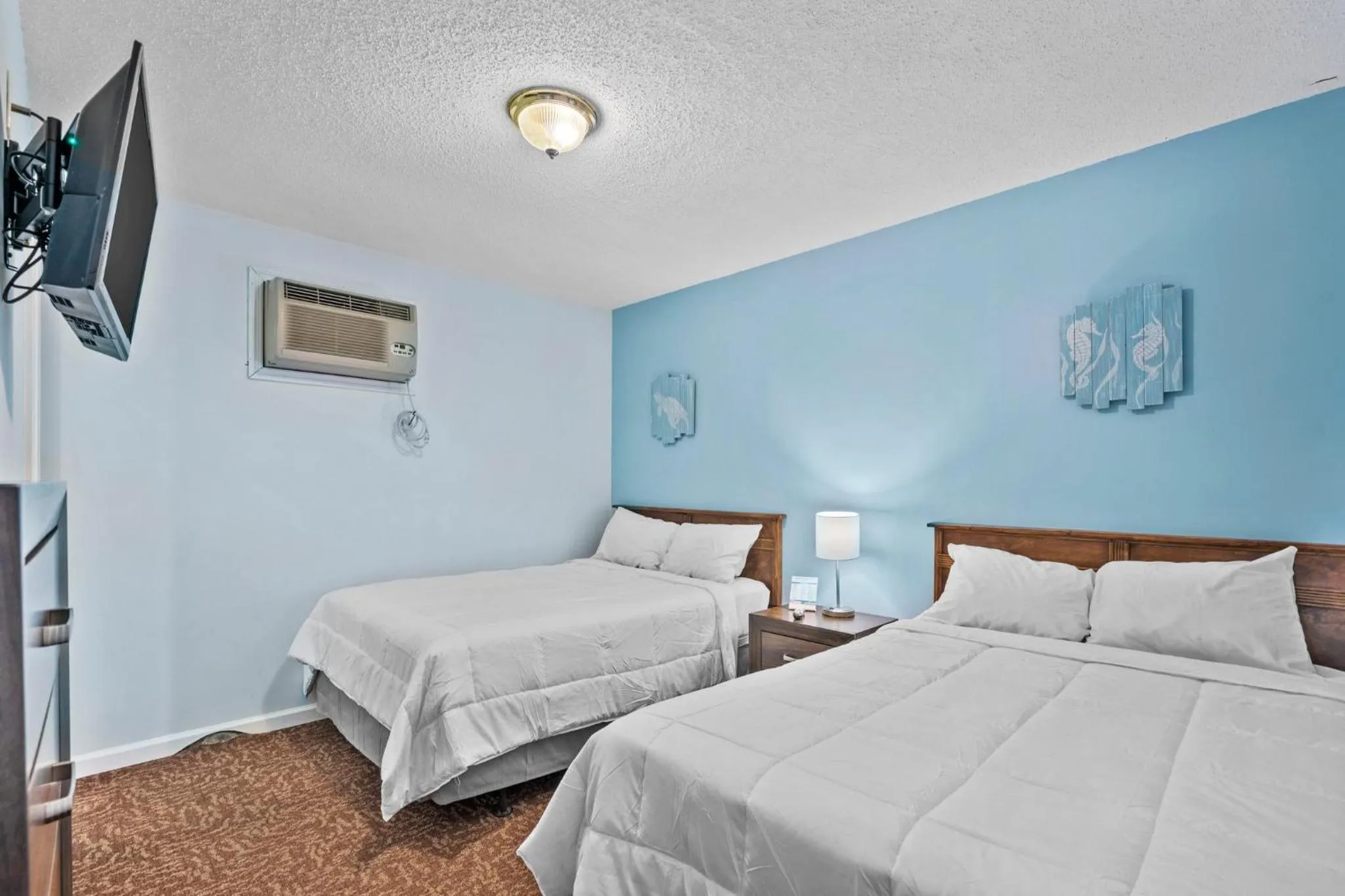 Bed in The Sand Dunes