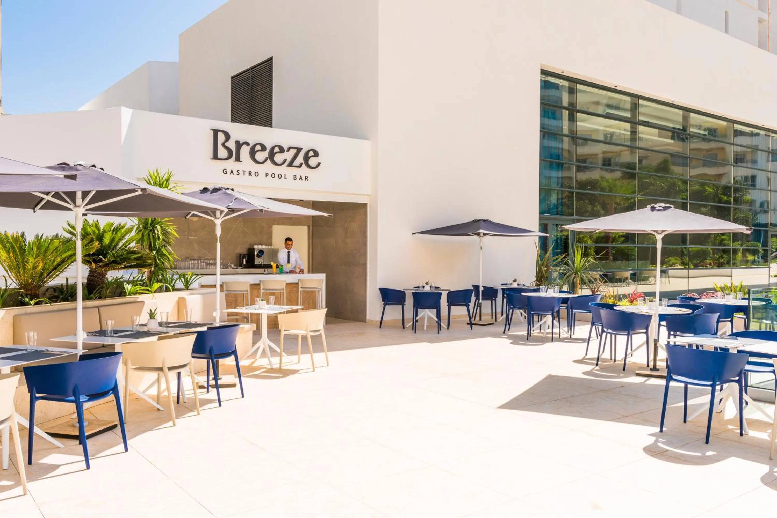 Lounge or bar in Barceló Tanger