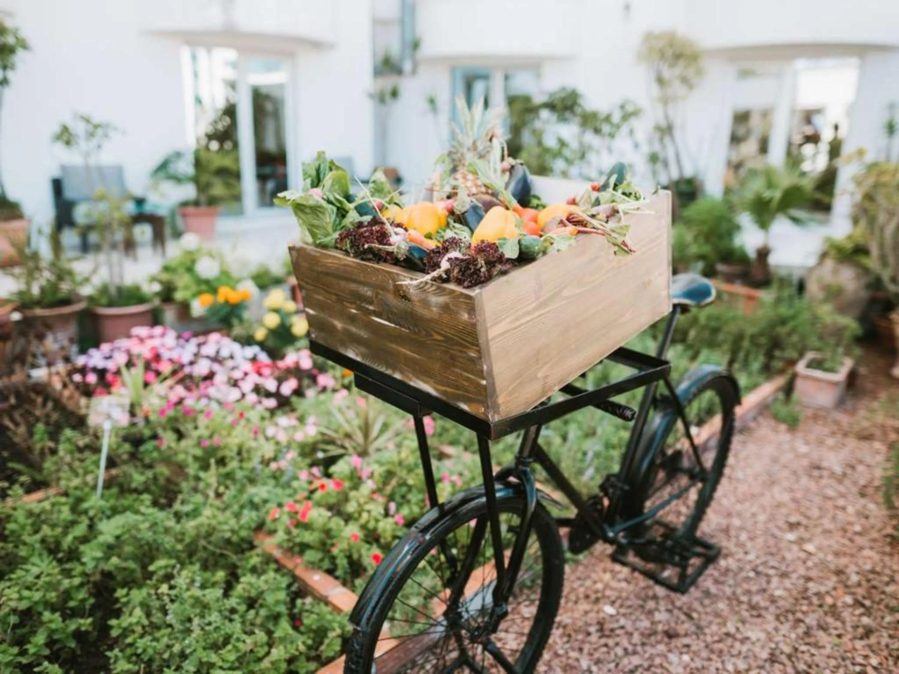 Patio in Le Diwan Hotel Rabat - MGallery Collection