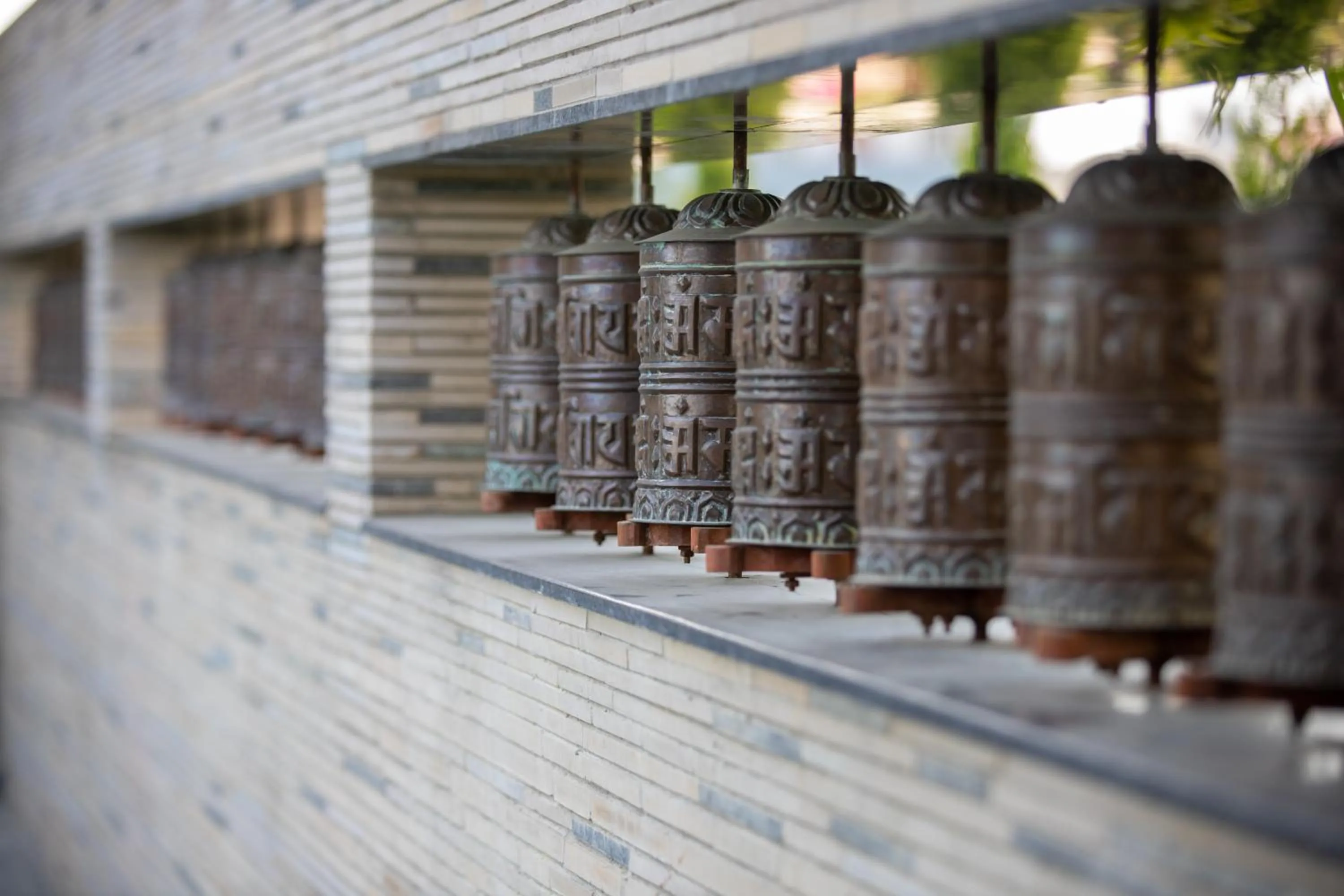 Garden in Siddhartha Vilasa, Bhairahawa