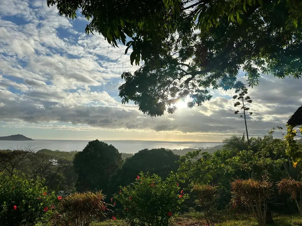 Bungalow with Sea View in WINGS HOTELS Bungalow with Sea View in WINGS HOTELS