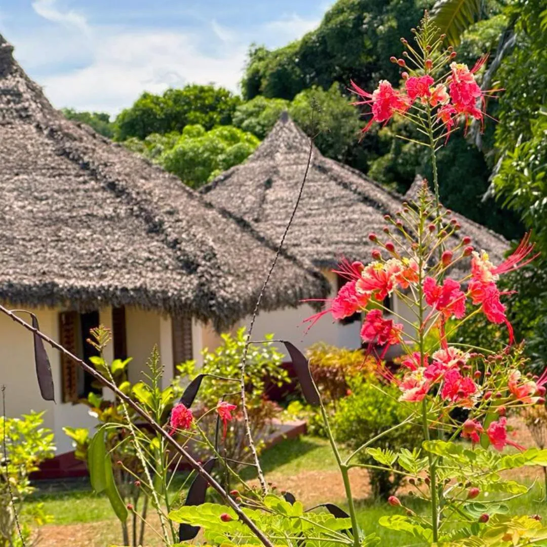 Property building in WINGS HOTELS