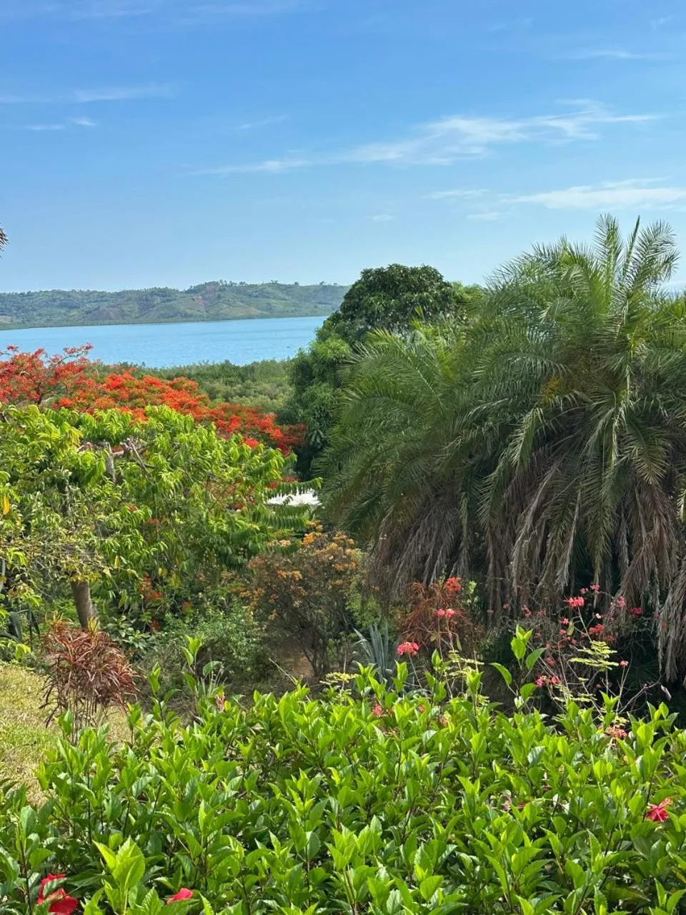 Natural landscape in WINGS HOTELS