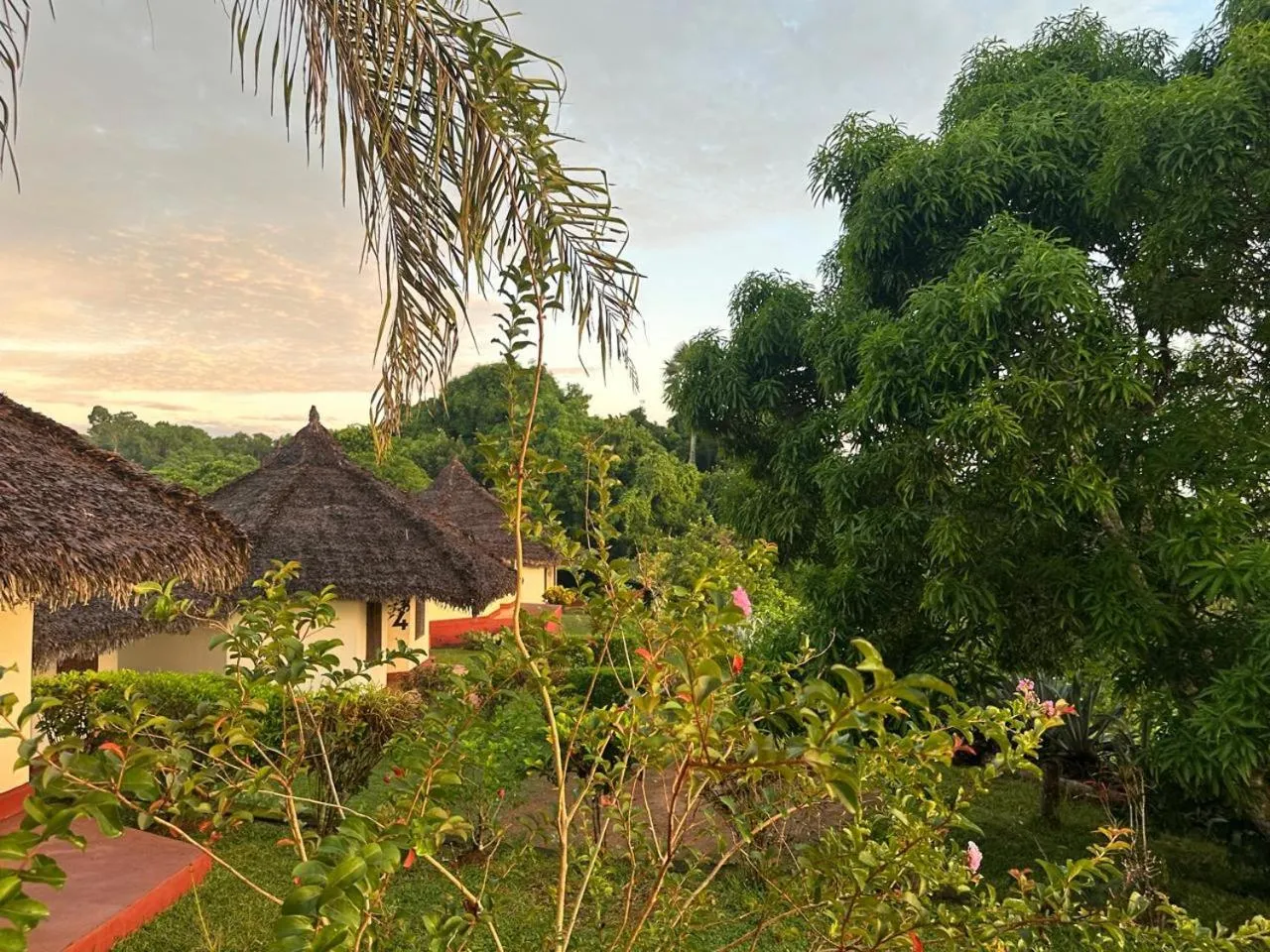 Property building in WINGS HOTELS