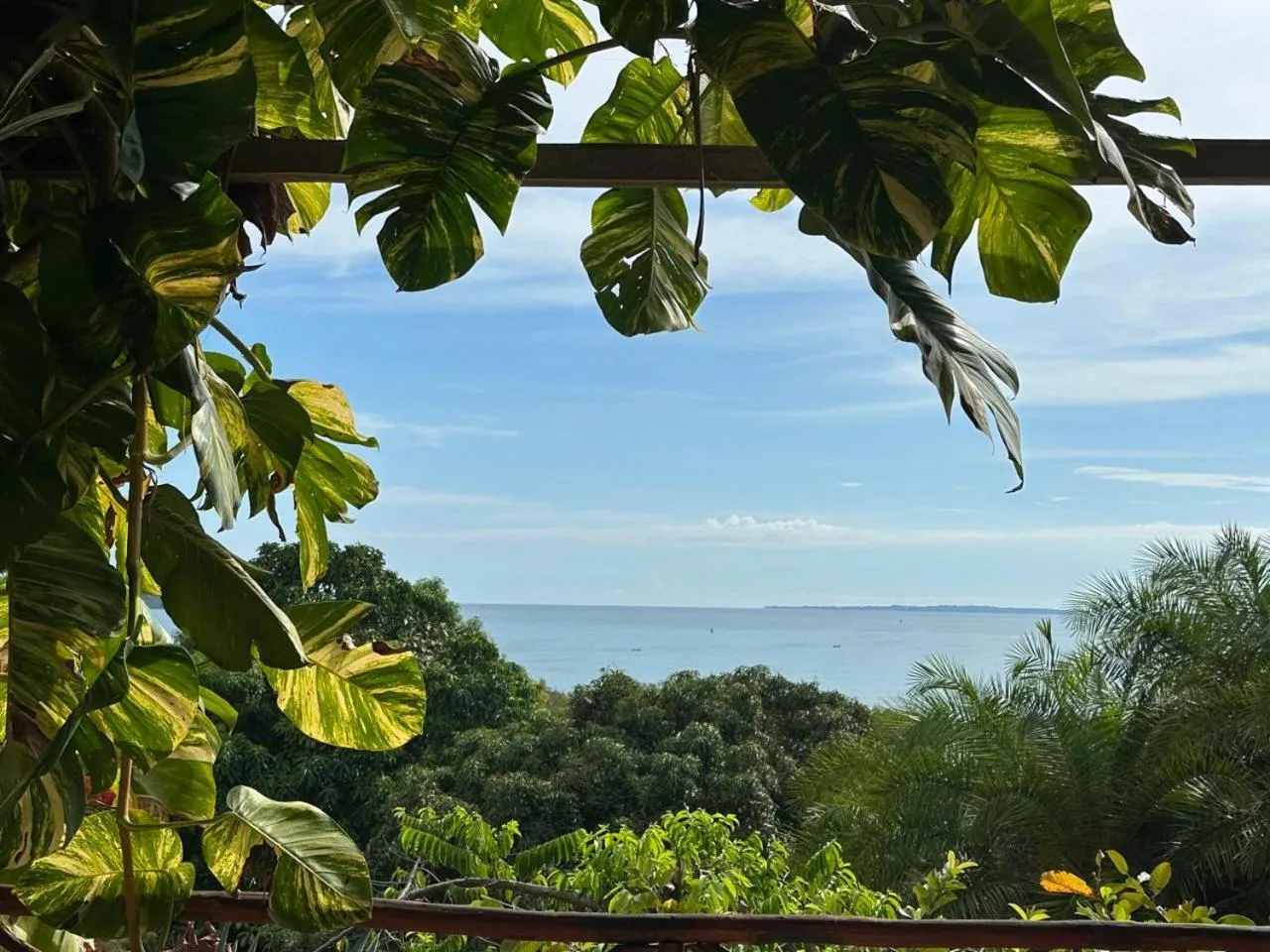 Sea view in WINGS HOTELS