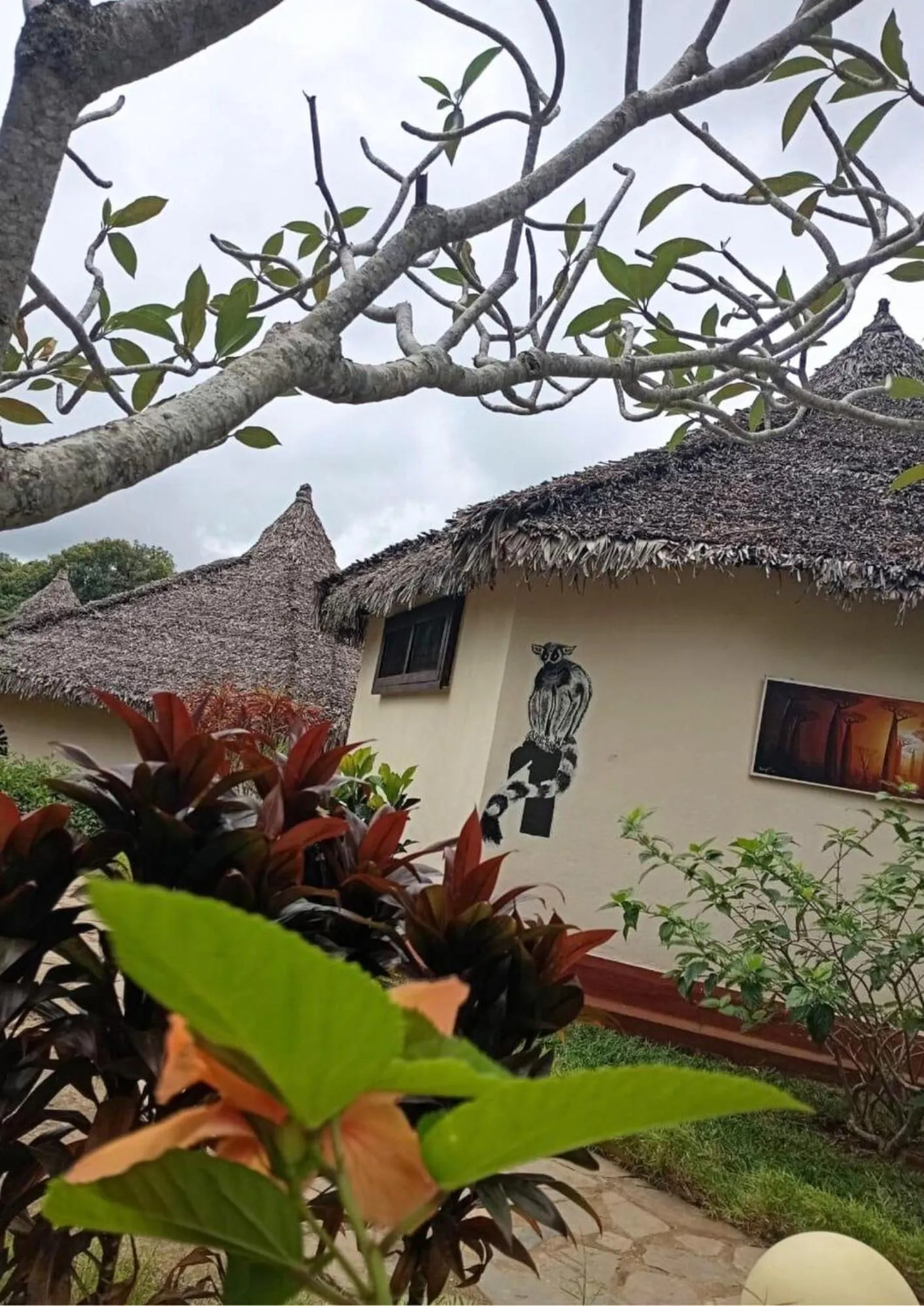 Property building in WINGS HOTELS