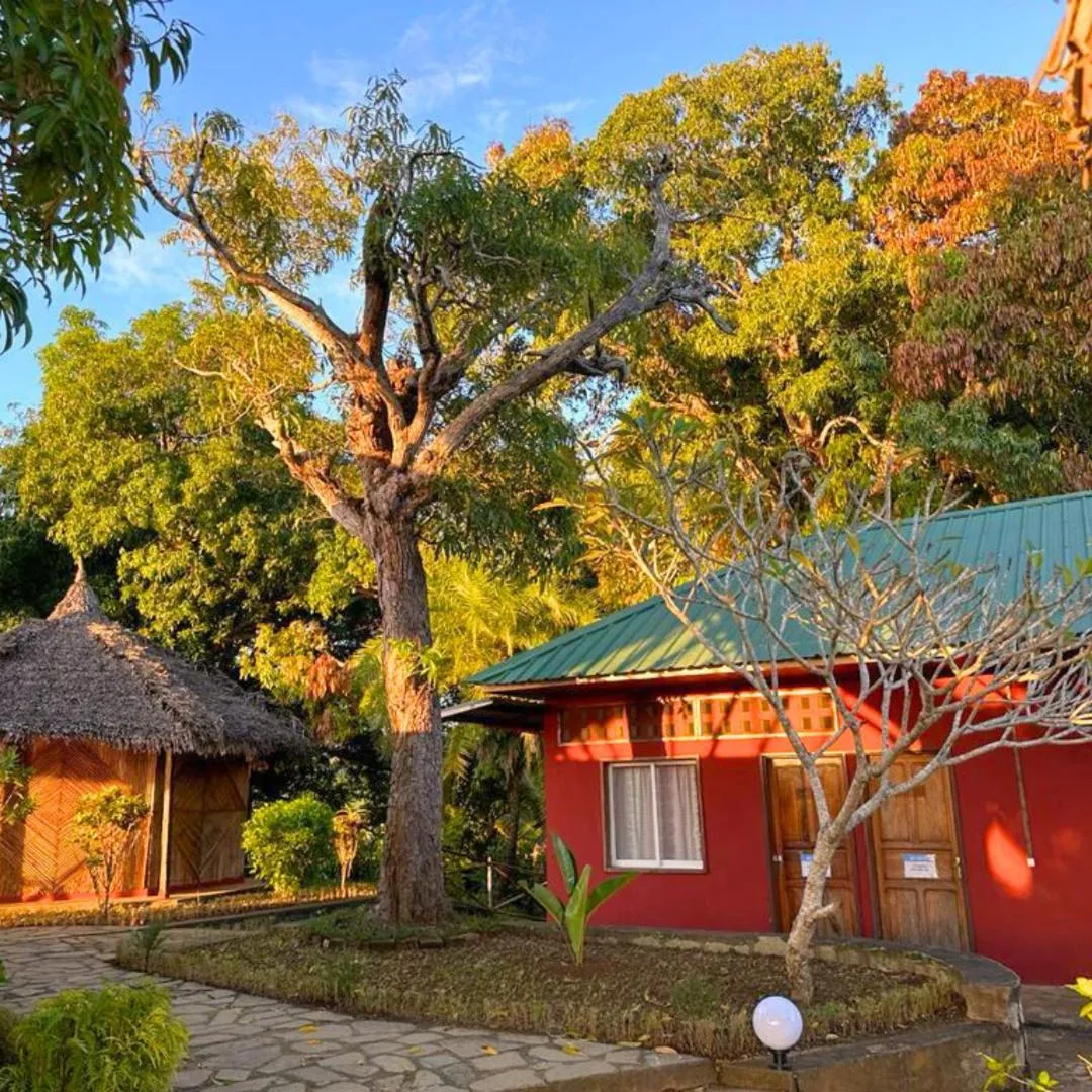 Property building in WINGS HOTELS