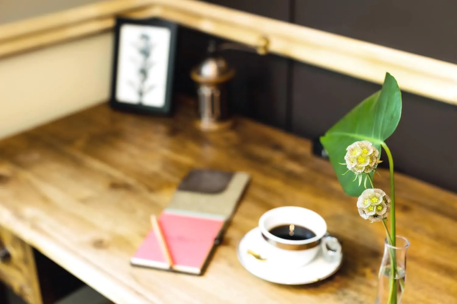 Shelter Garden Nikko