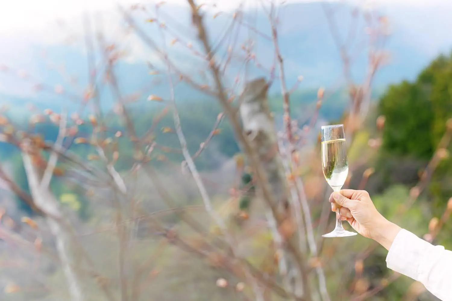 Shelter Garden Nikko