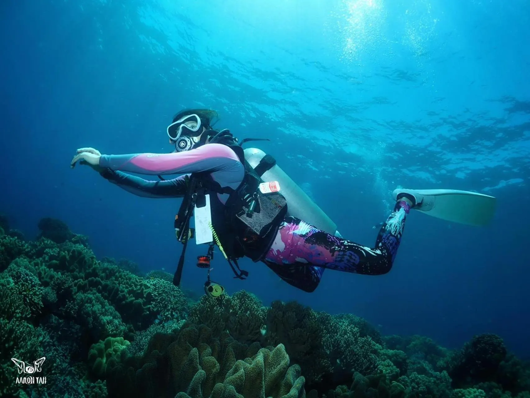 Diving in Oceanism海洋主义潜水度假酒店