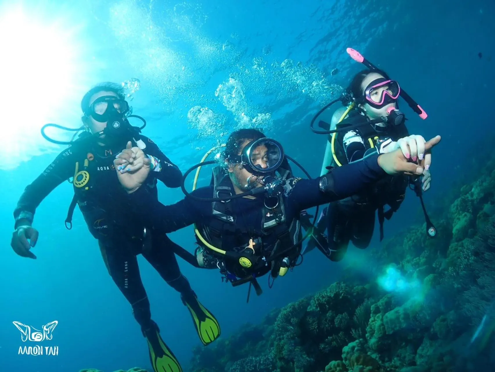 Diving in Oceanism海洋主义潜水度假酒店