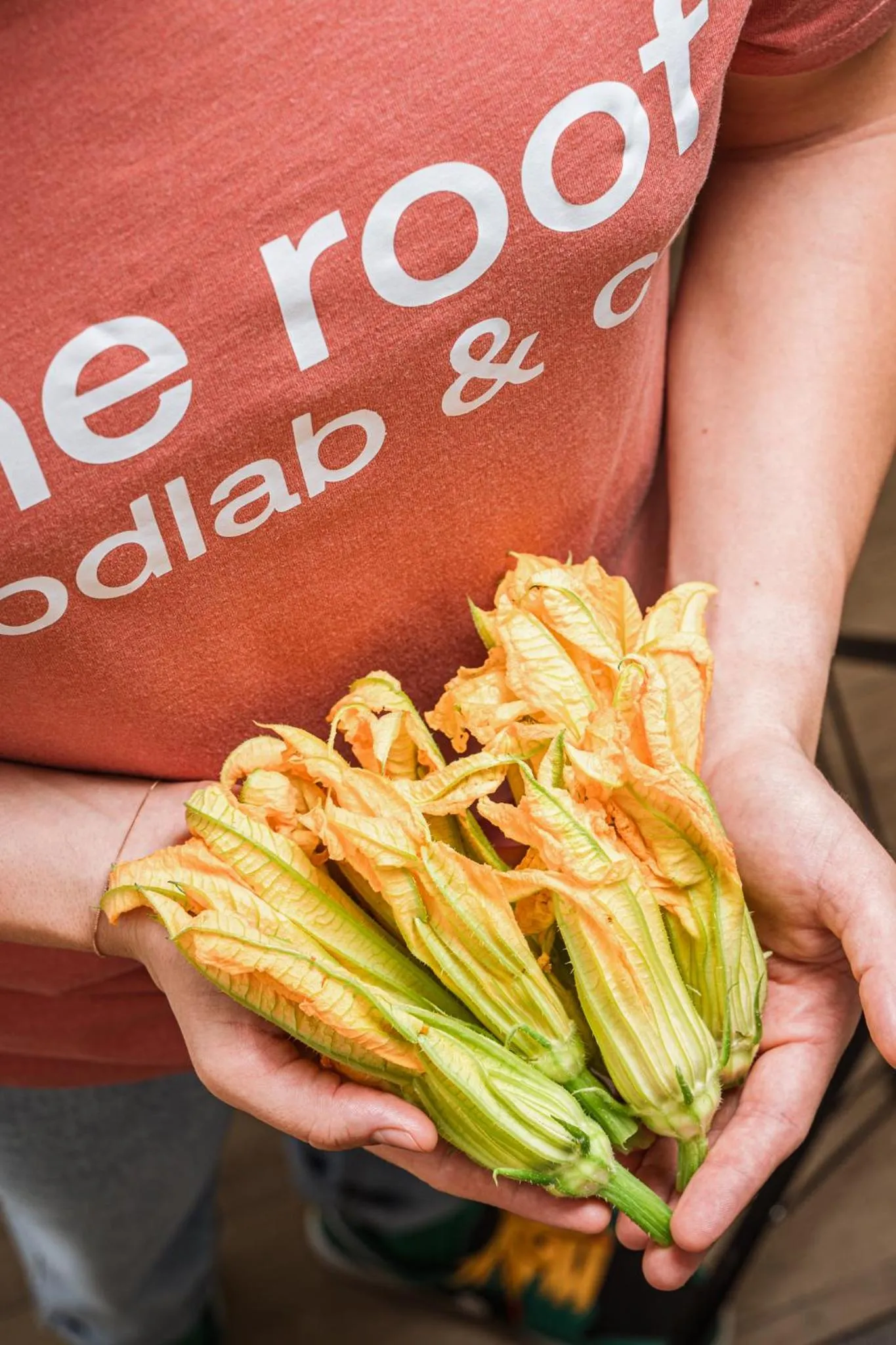 Restaurant/places to eat in Dotcampus Roma City Center