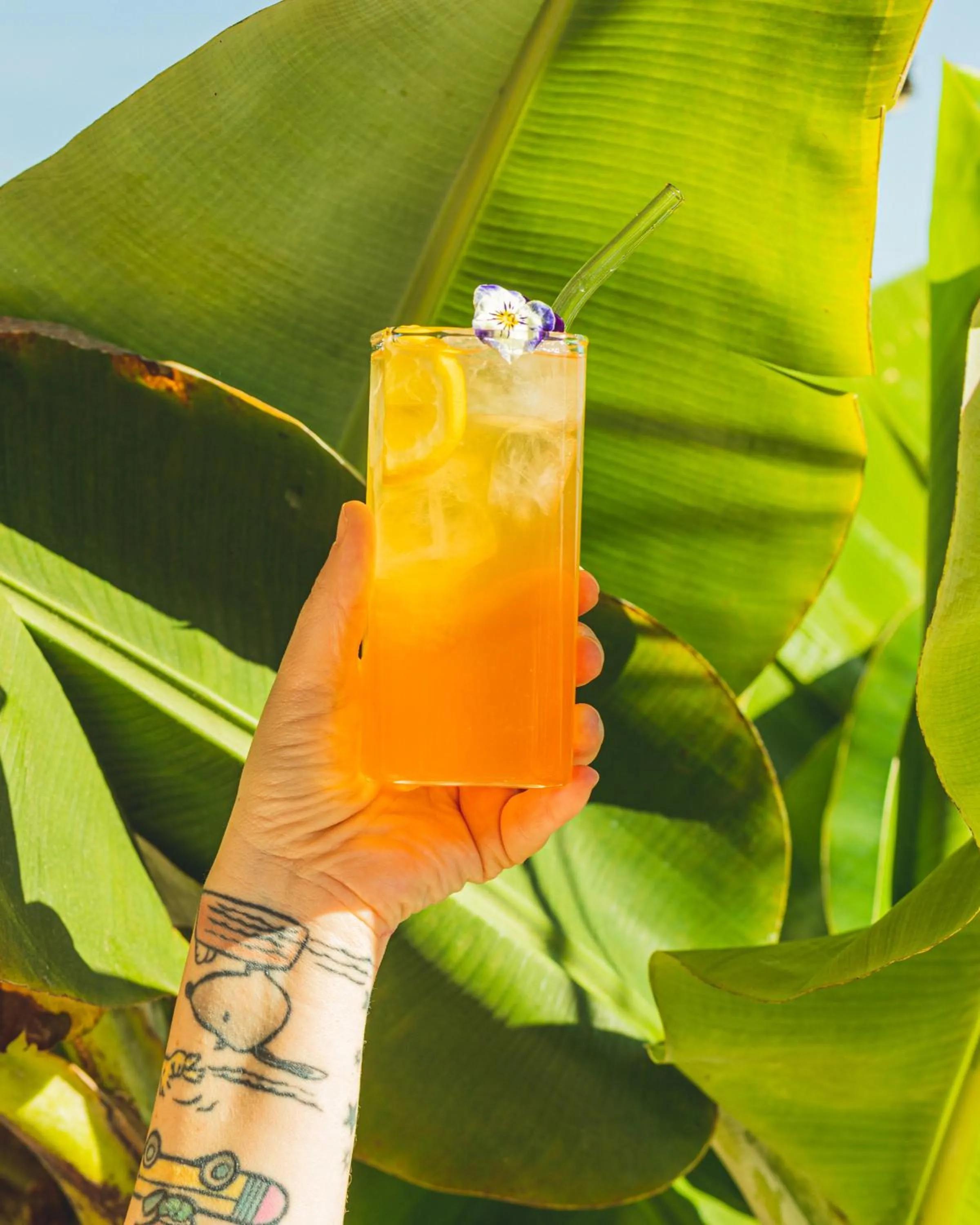 Restaurant/places to eat in Dotcampus Roma City Center