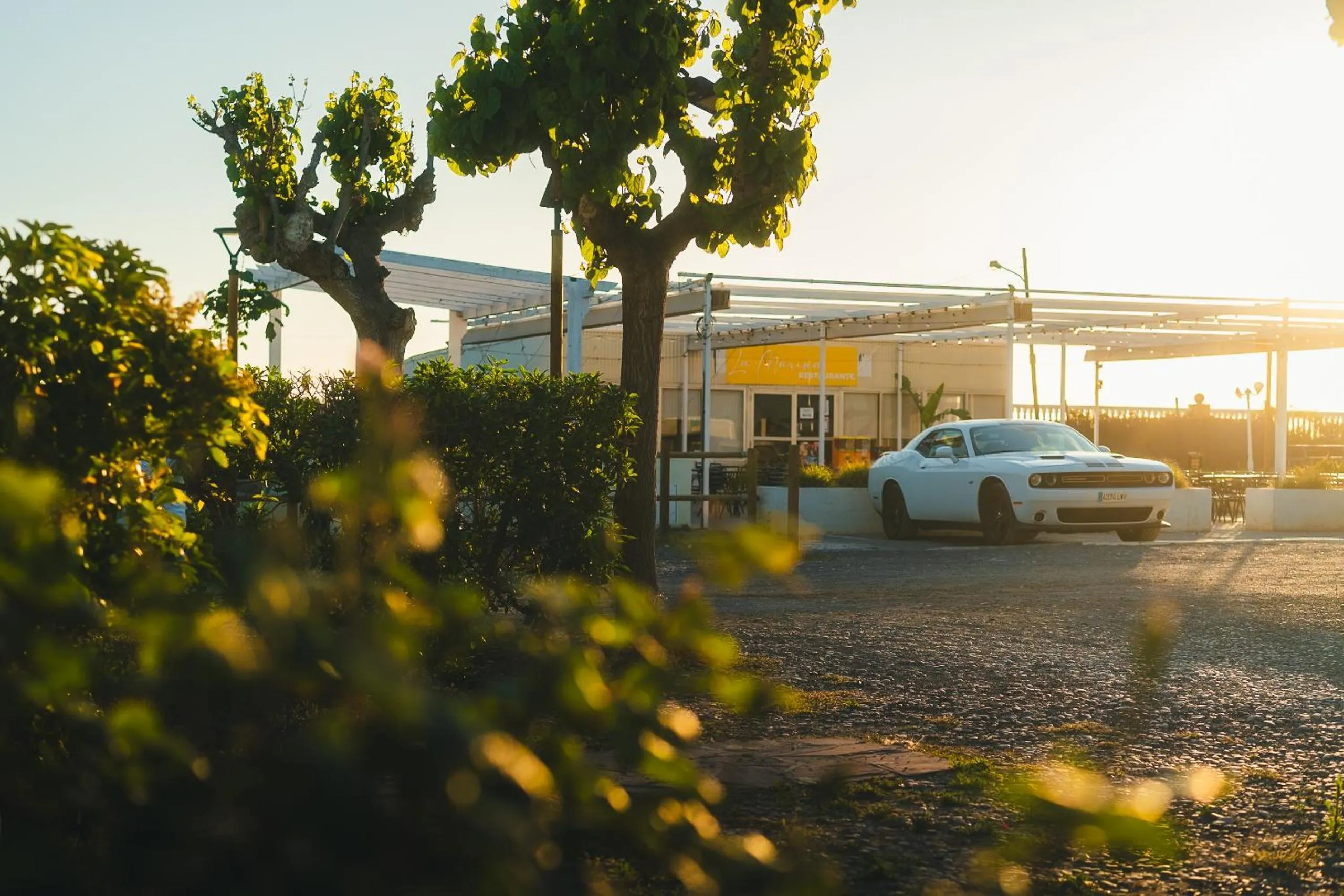 Sunrise in HolaCamp Chilches