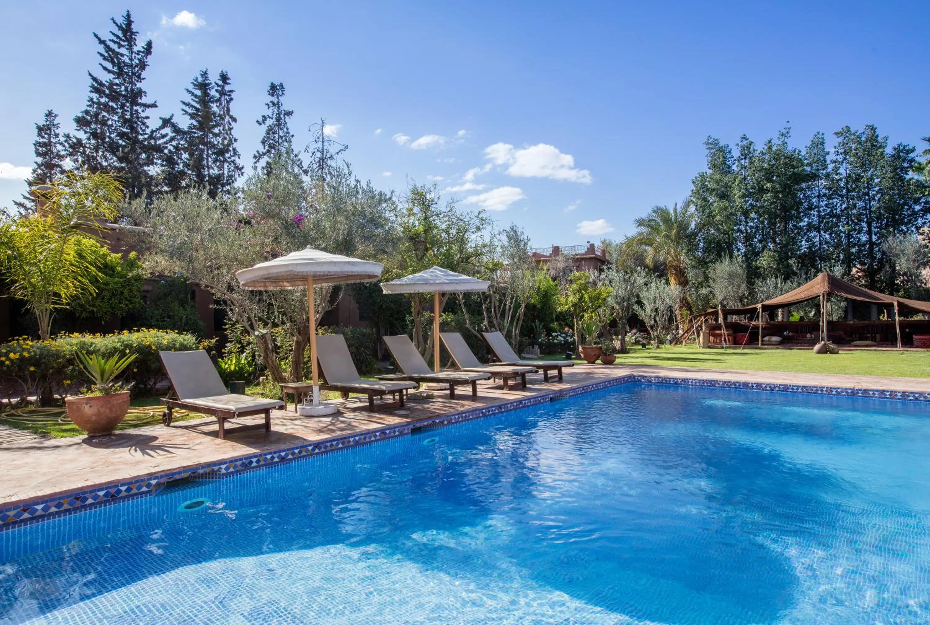 Swimming pool in Jnane Leila