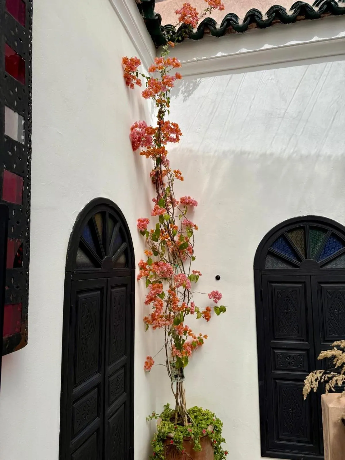 Garden in Riad Ta'achchaqa