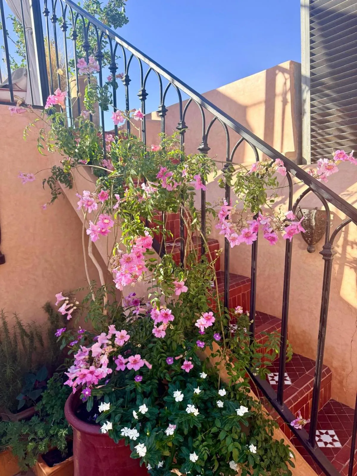 Spring in Riad Ta'achchaqa