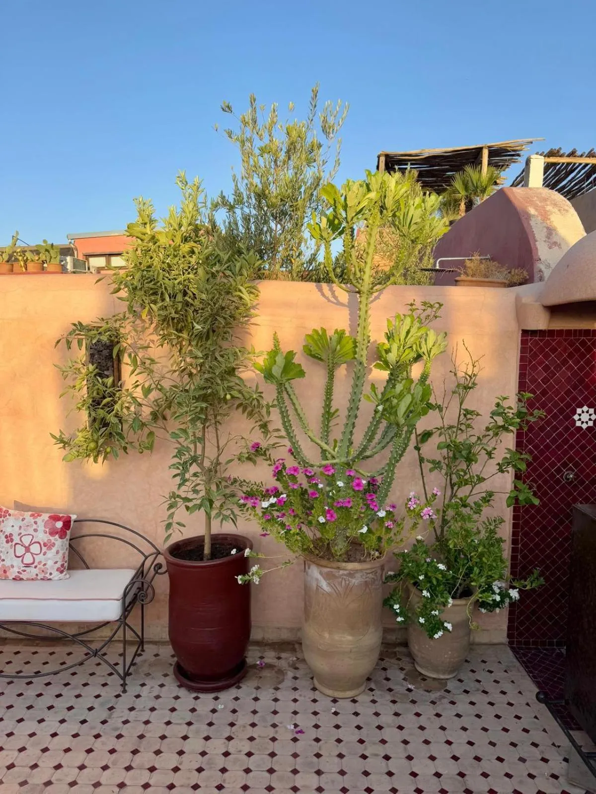 Patio in Riad Ta'achchaqa
