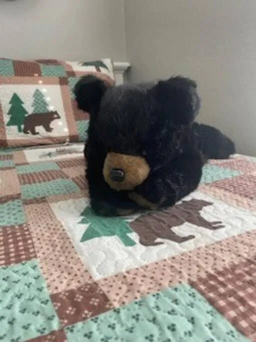 Bed in Spruce Valley