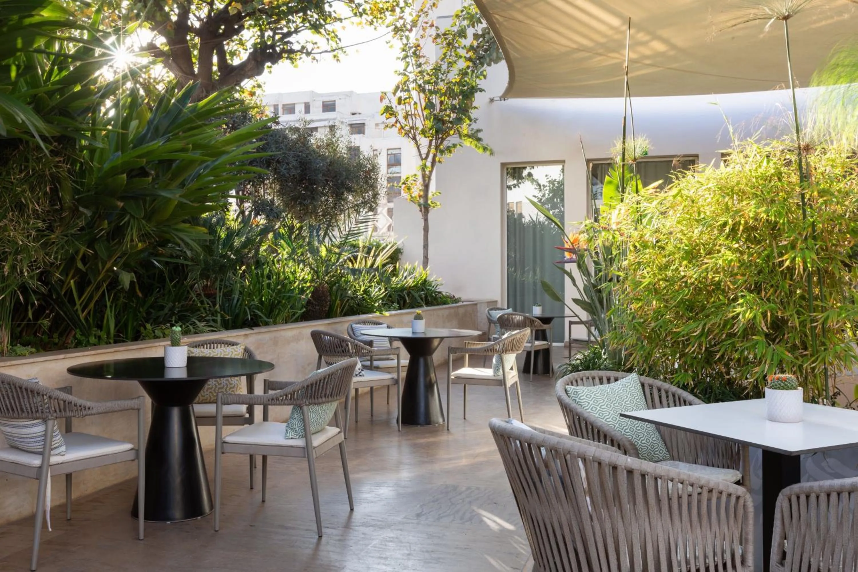 Lounge or bar in Casablanca Marriott Hotel