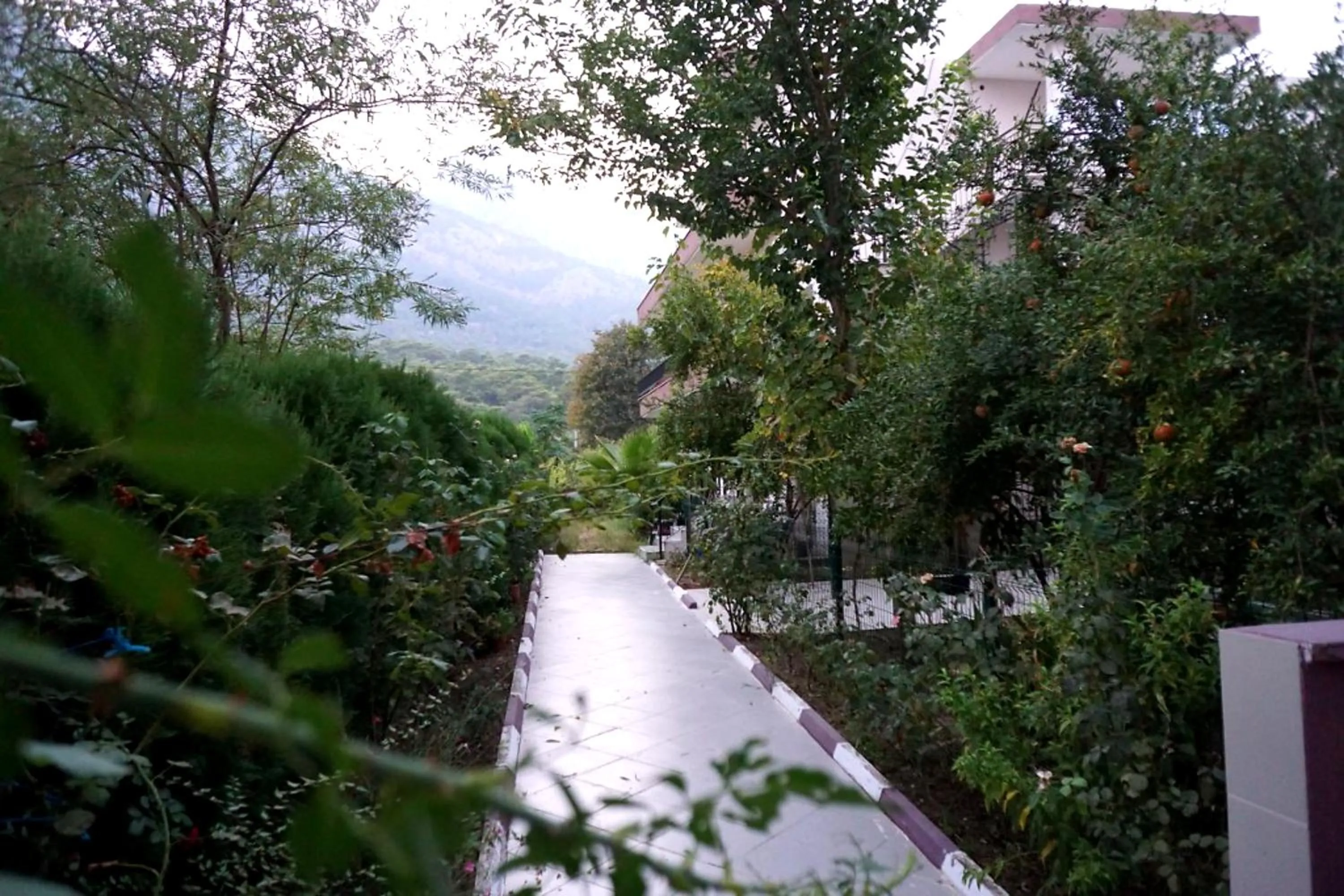 Garden in Aybel İnn Hotel