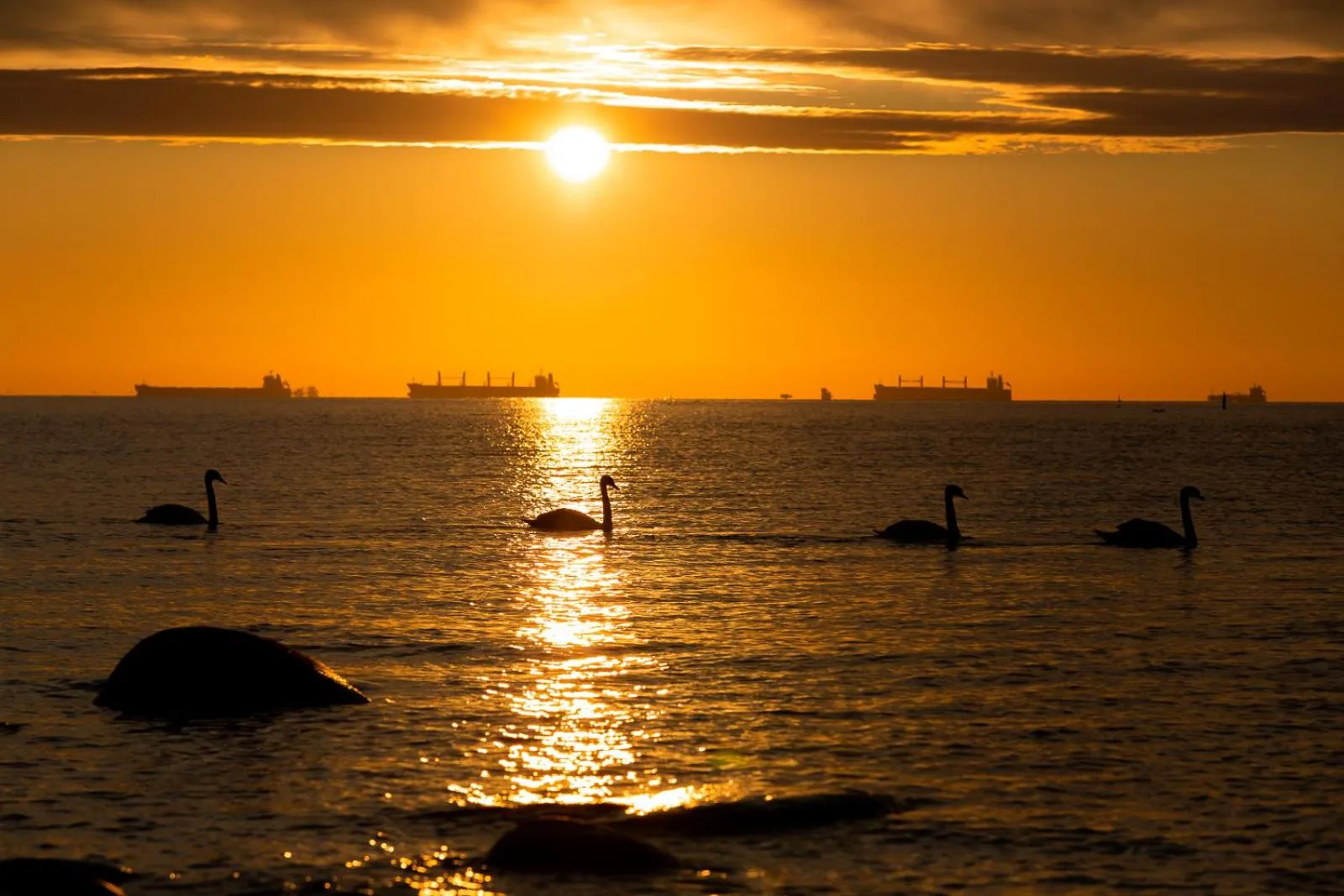 Off site in Moon Apartments Gdańsk