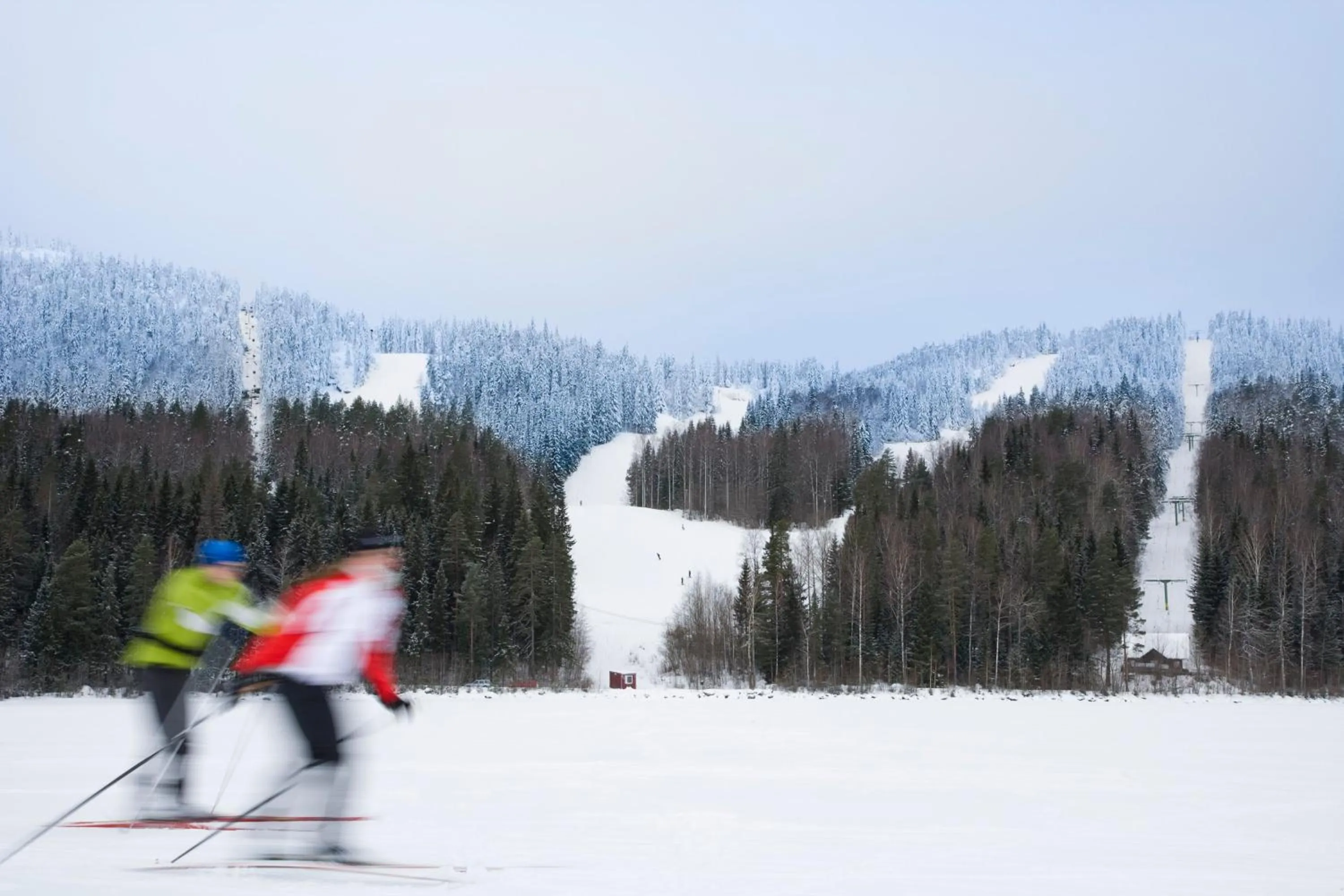 Natural landscape in Break Sokos Hotel Koli Kylä