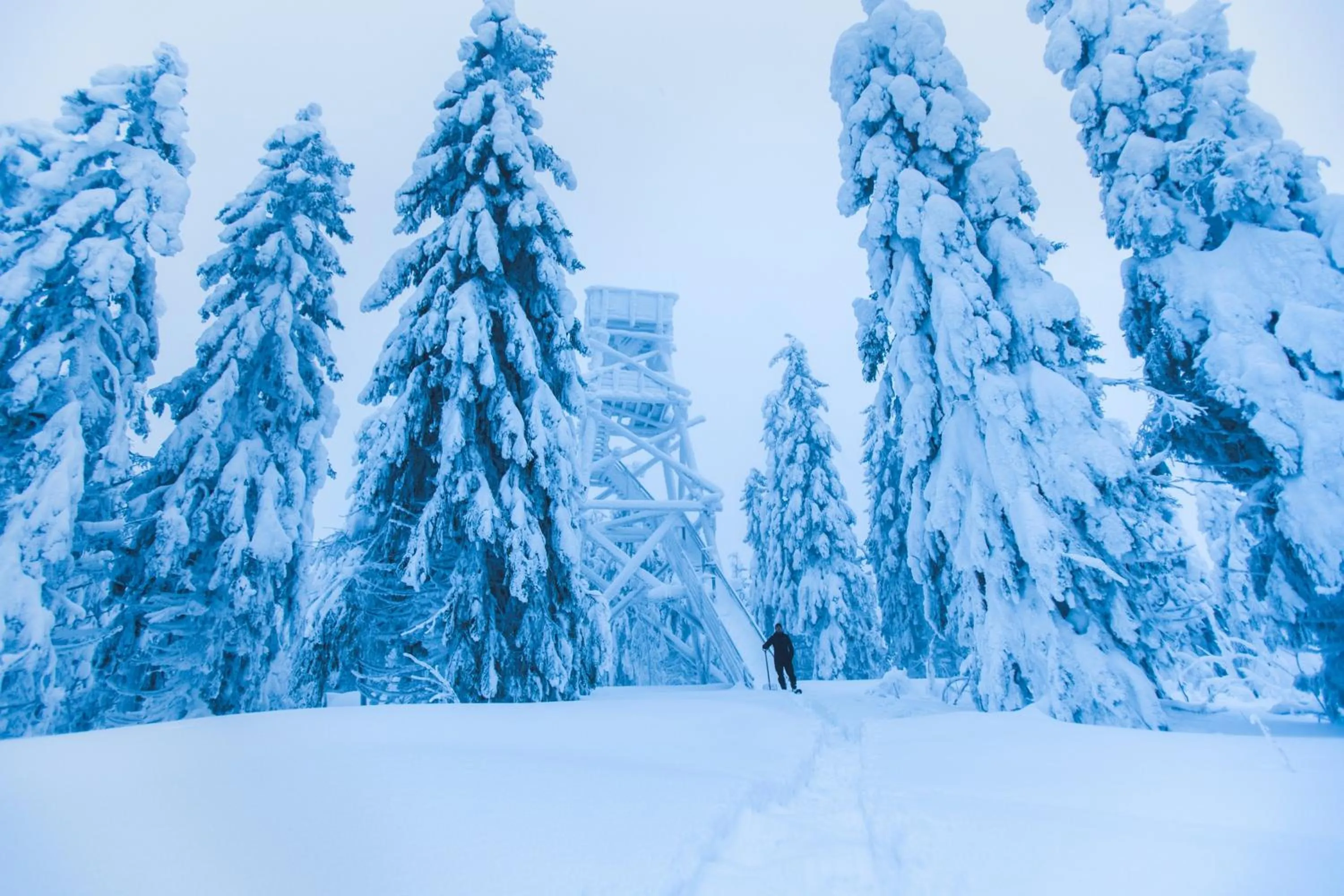 Nearby landmark in Break Sokos Hotel Koli Kylä