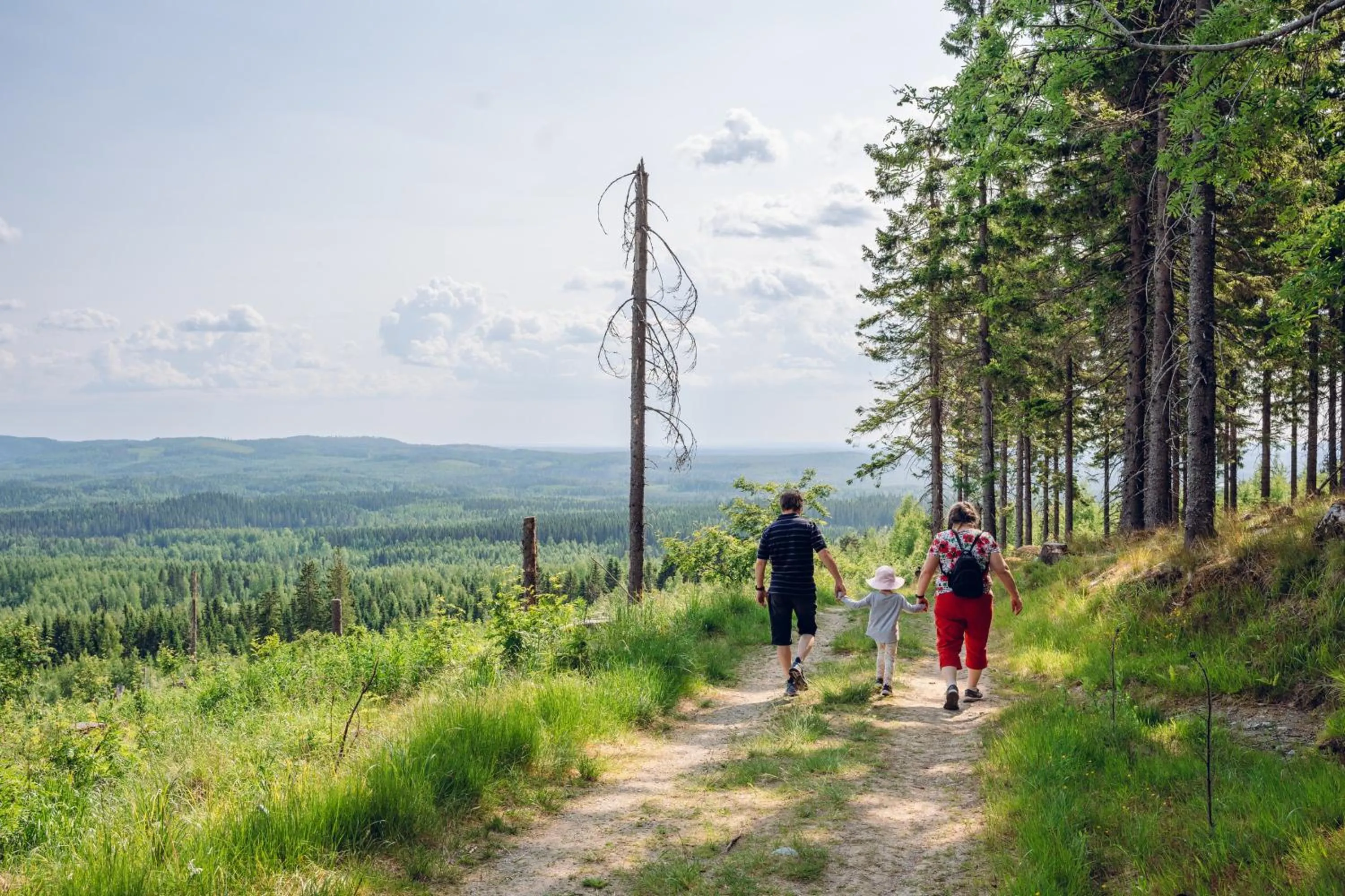 Natural landscape in Break Sokos Hotel Koli Kylä