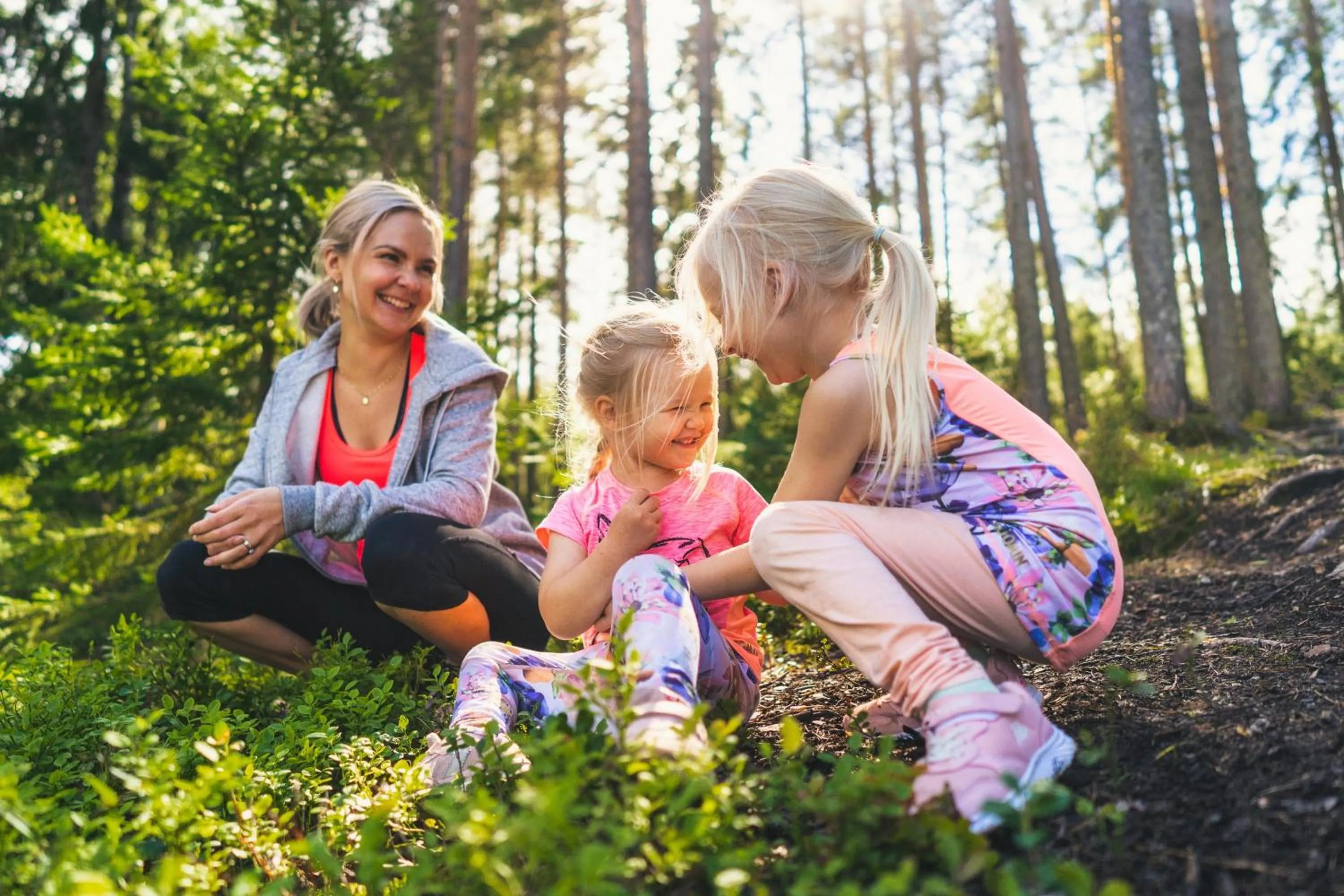 Natural landscape in Break Sokos Hotel Koli Kylä