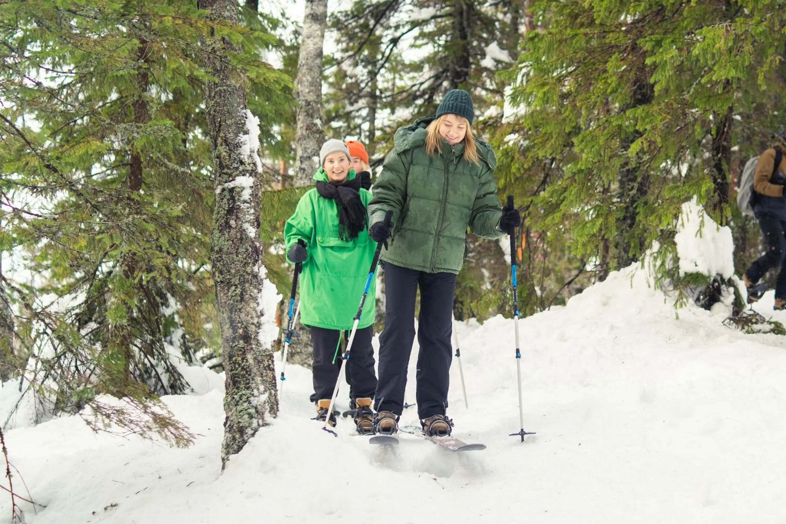 Natural landscape in Break Sokos Hotel Koli Kylä