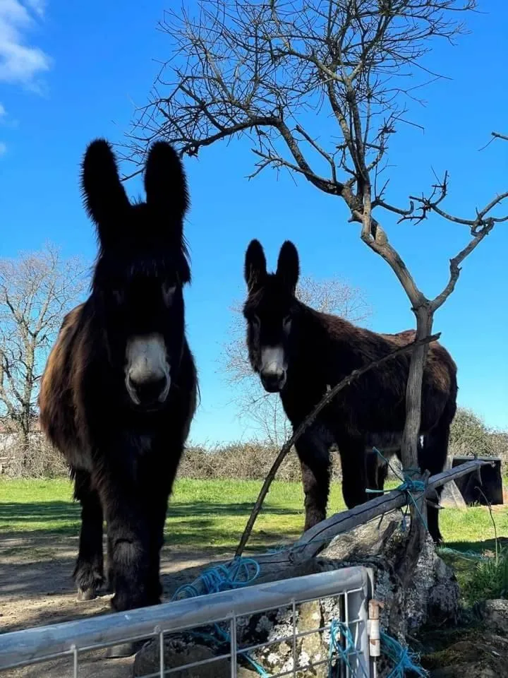 Hotel D Joao Miranda do douro
