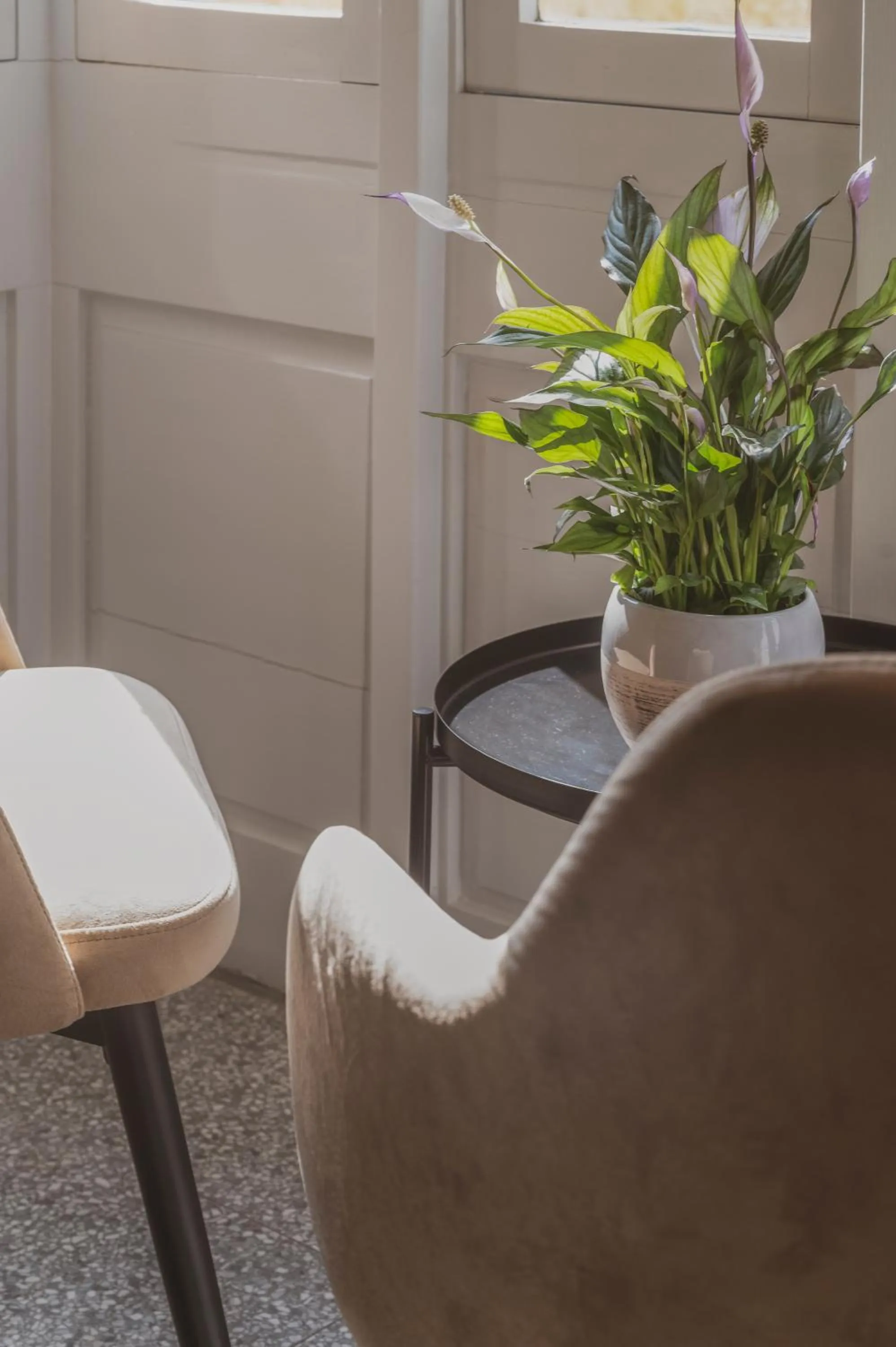 Seating area in Maria Rosa Suites