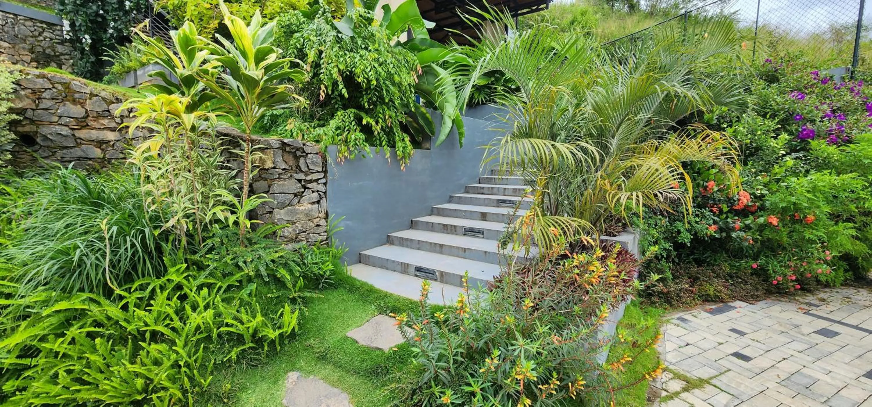 Garden in The Cubes Ella