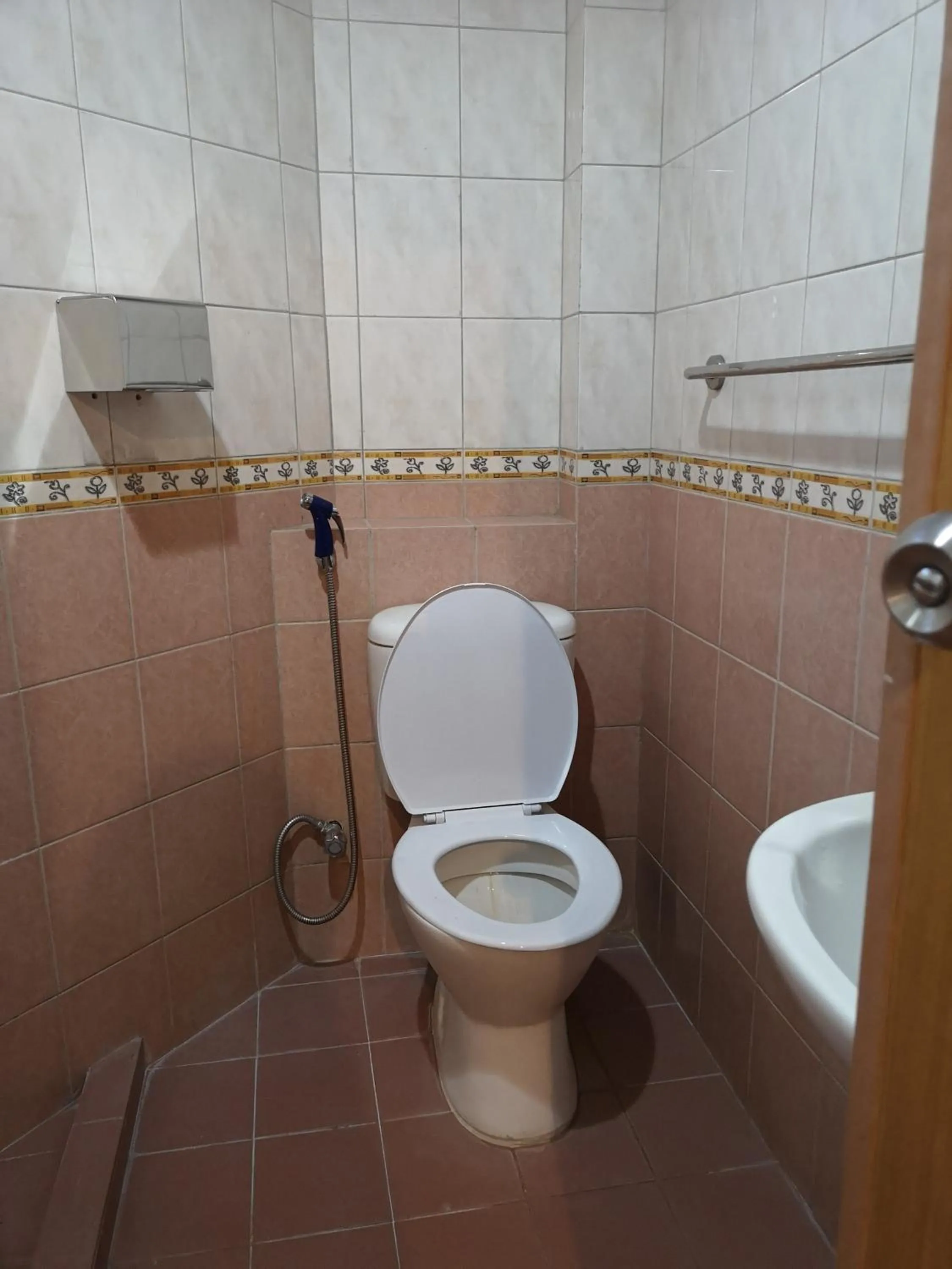 Toilet in AeCOTEL