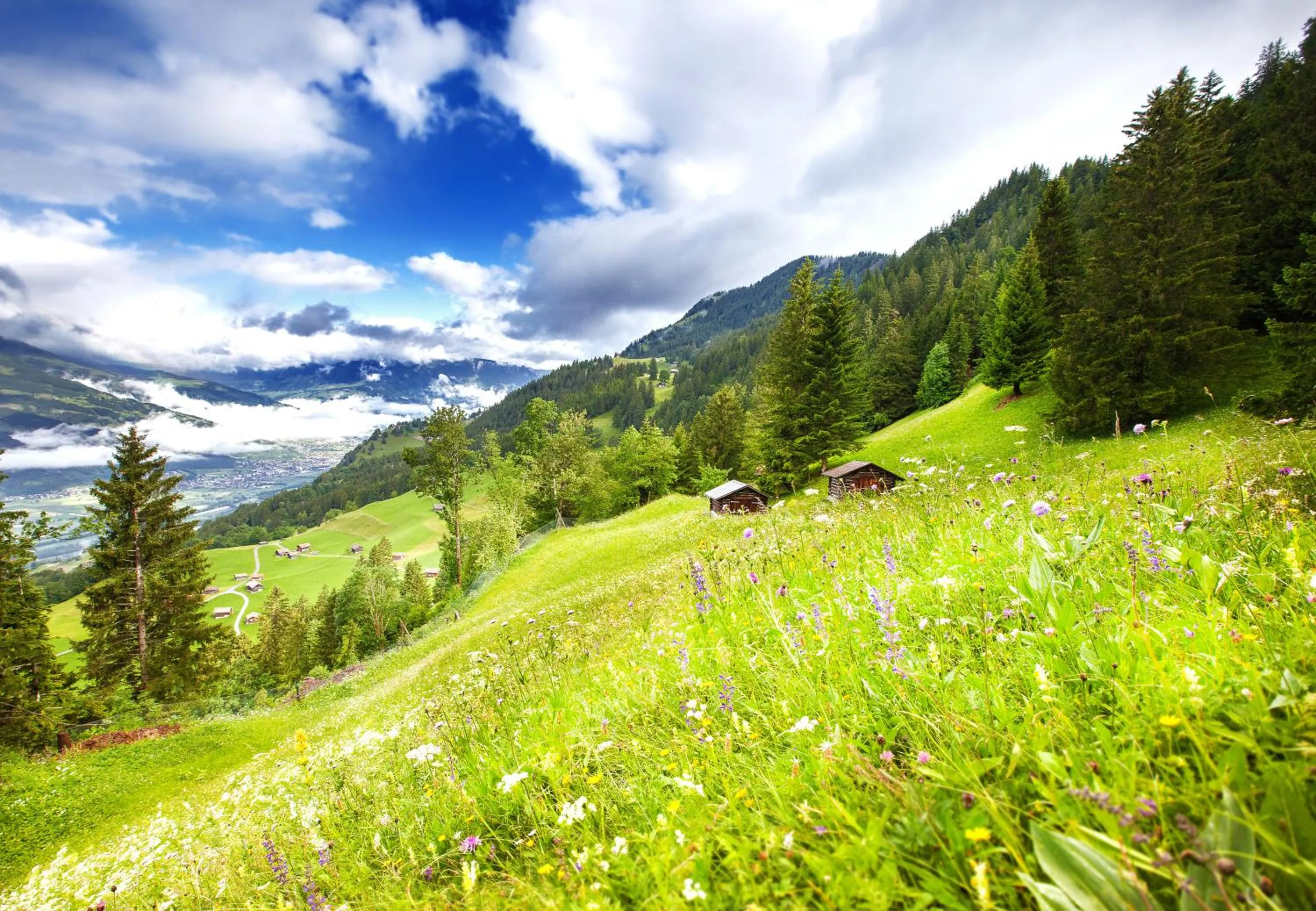 Spring in Hotel Oberland