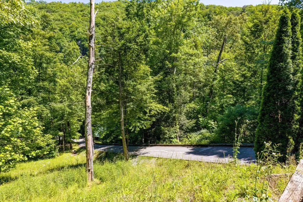 Dog Friendly Secluded Cabin Whot-tub & Sleeps 12