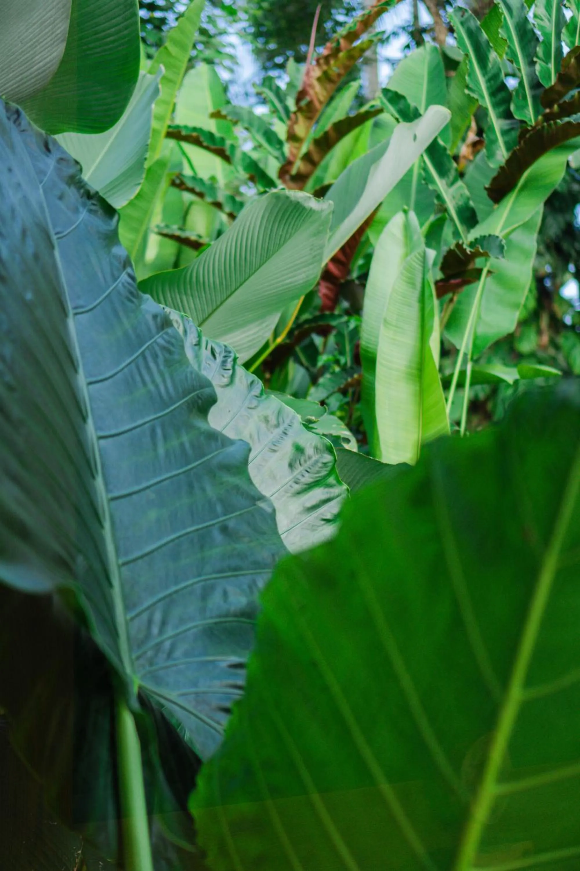 Day in LeRosa Valley Resort