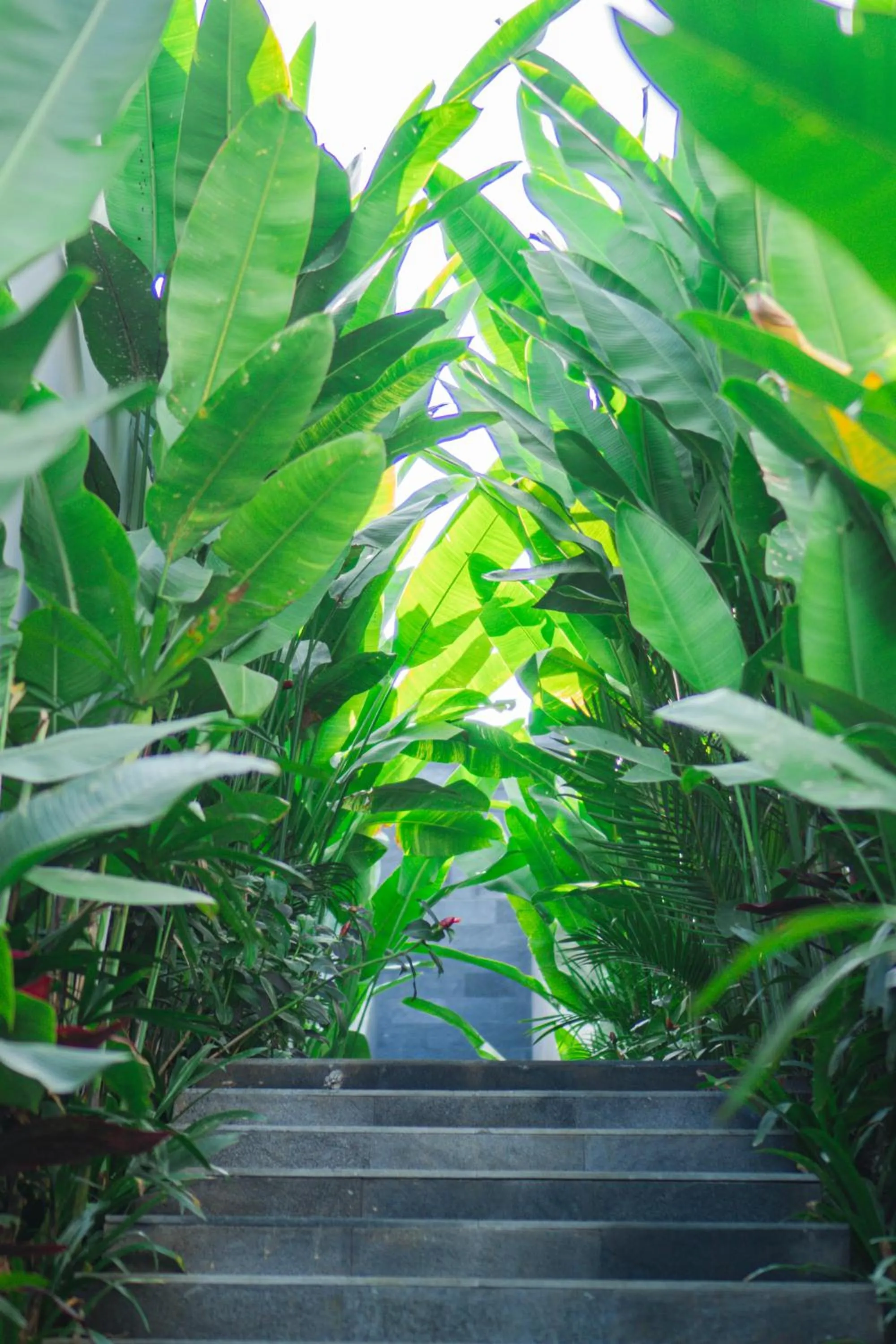 Natural landscape in LeRosa Valley Resort