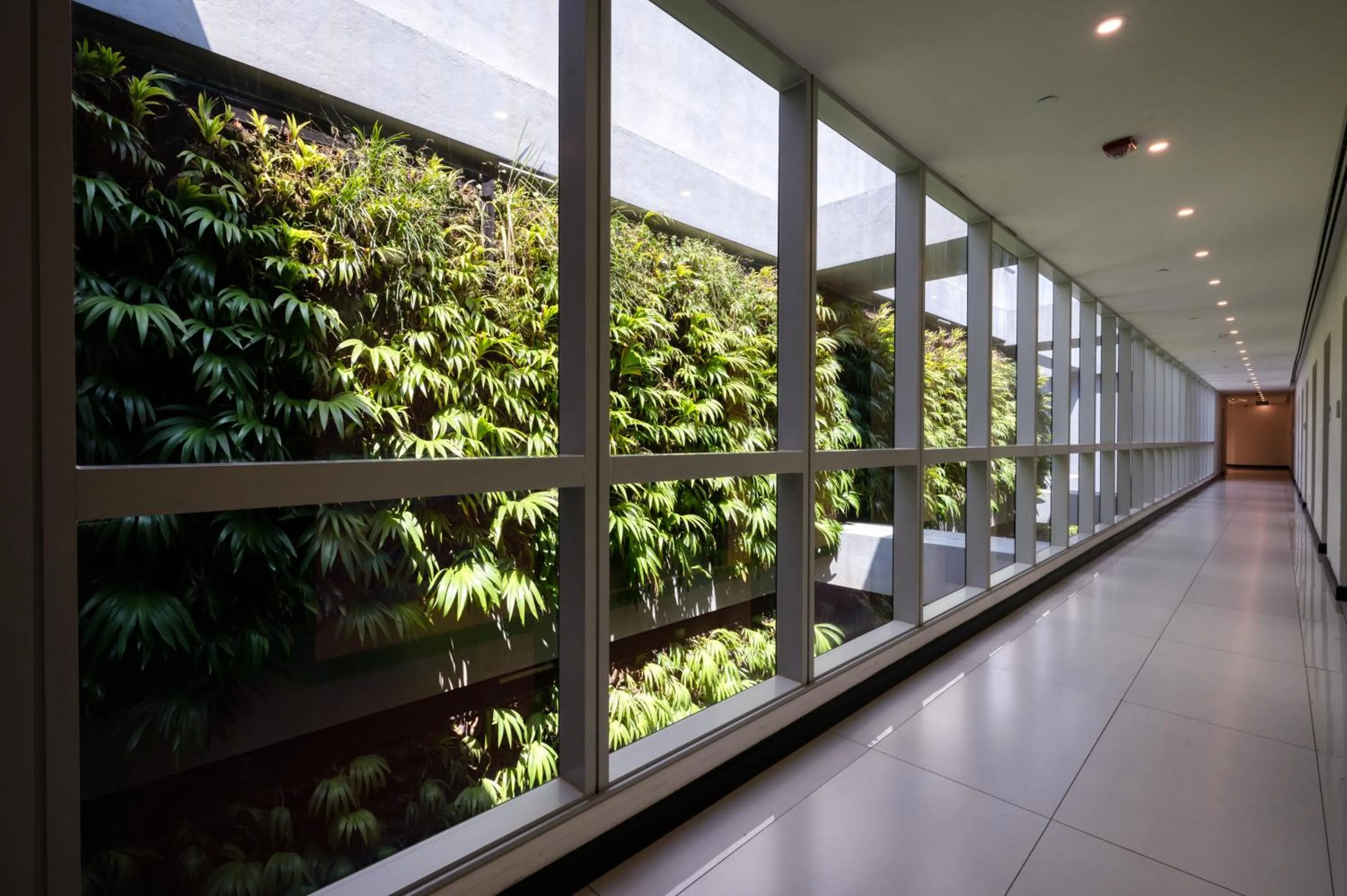 Garden in Orion City Hotel