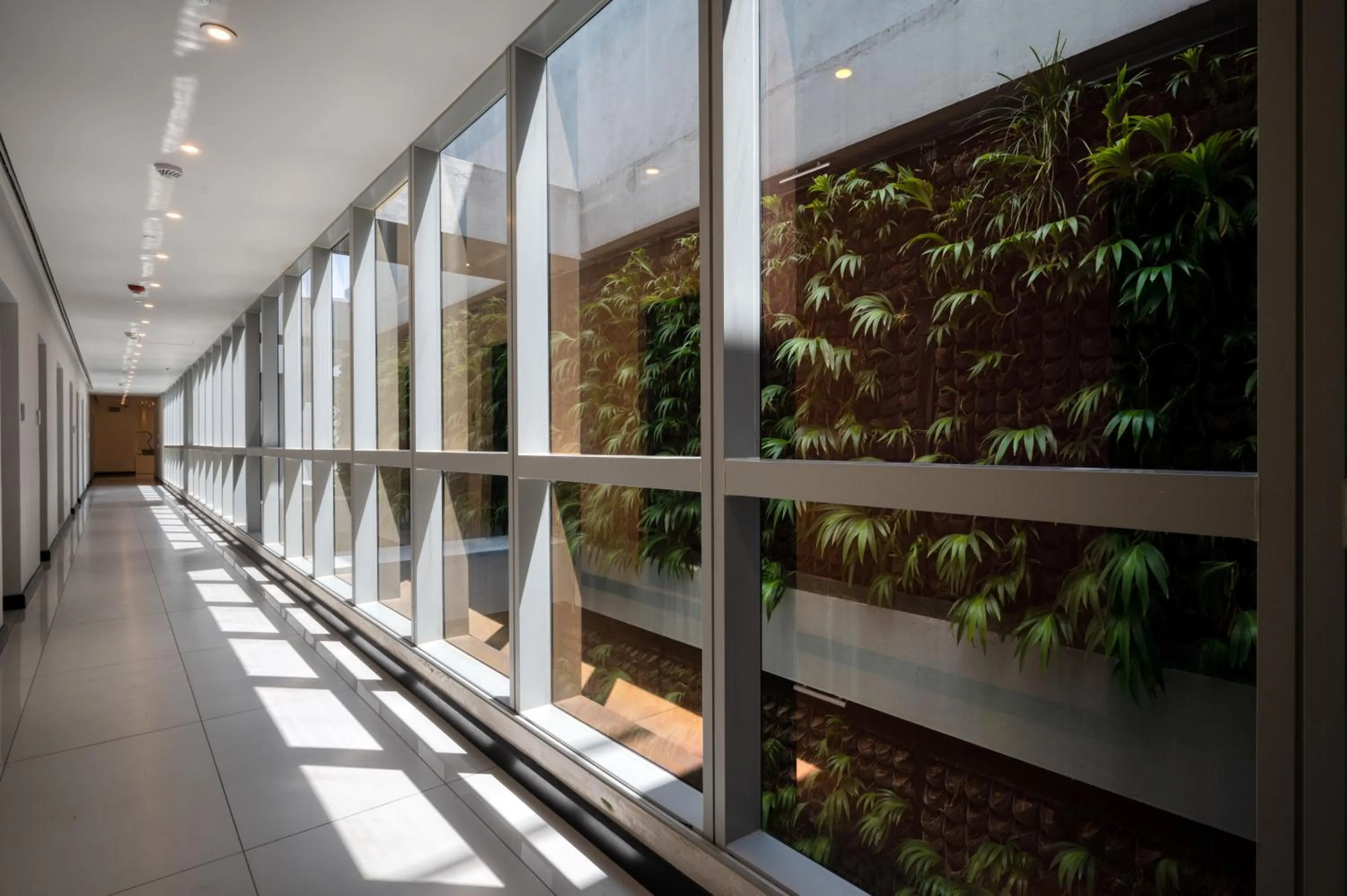 Garden in Orion City Hotel