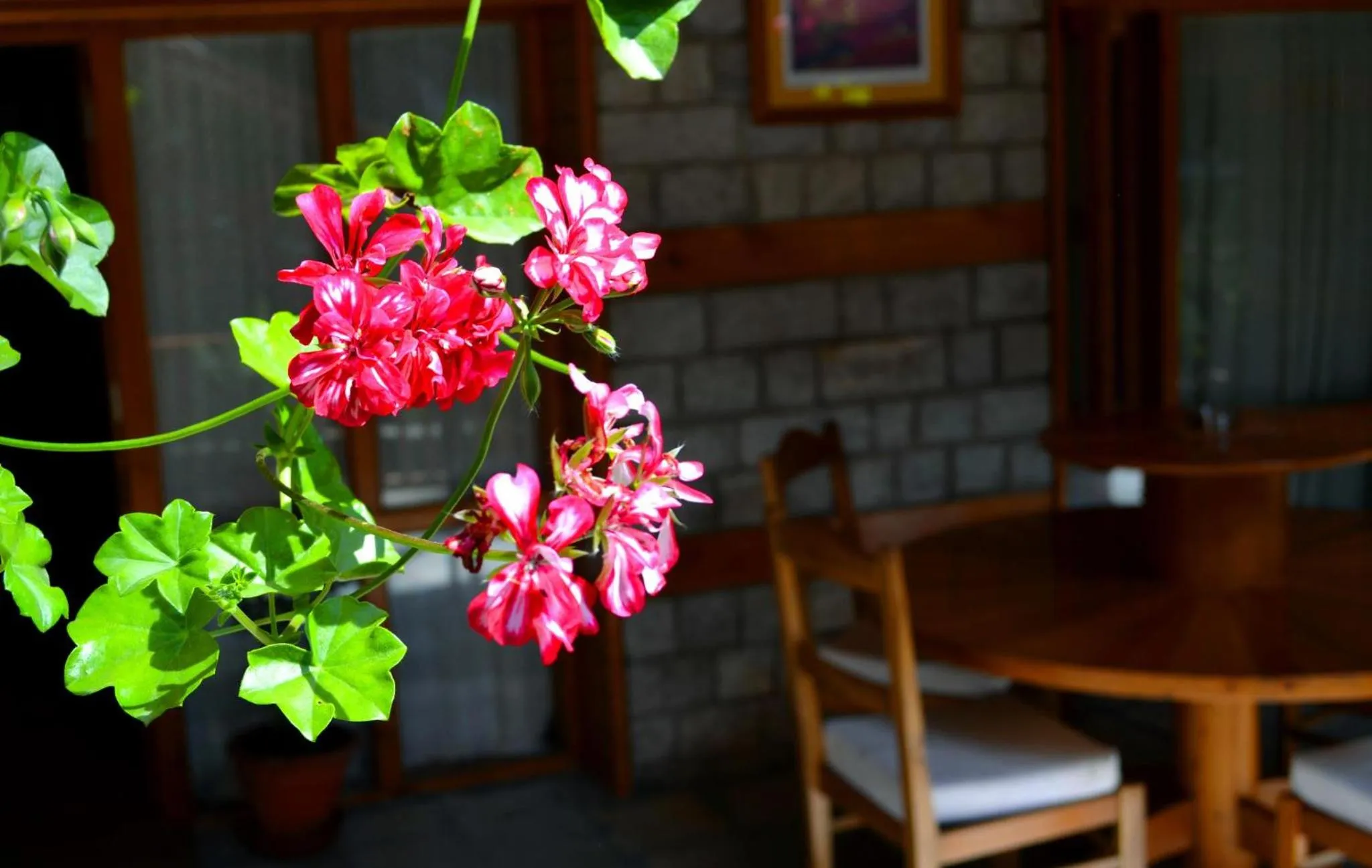 Property building in Holiday Home International -Vivaan Stays