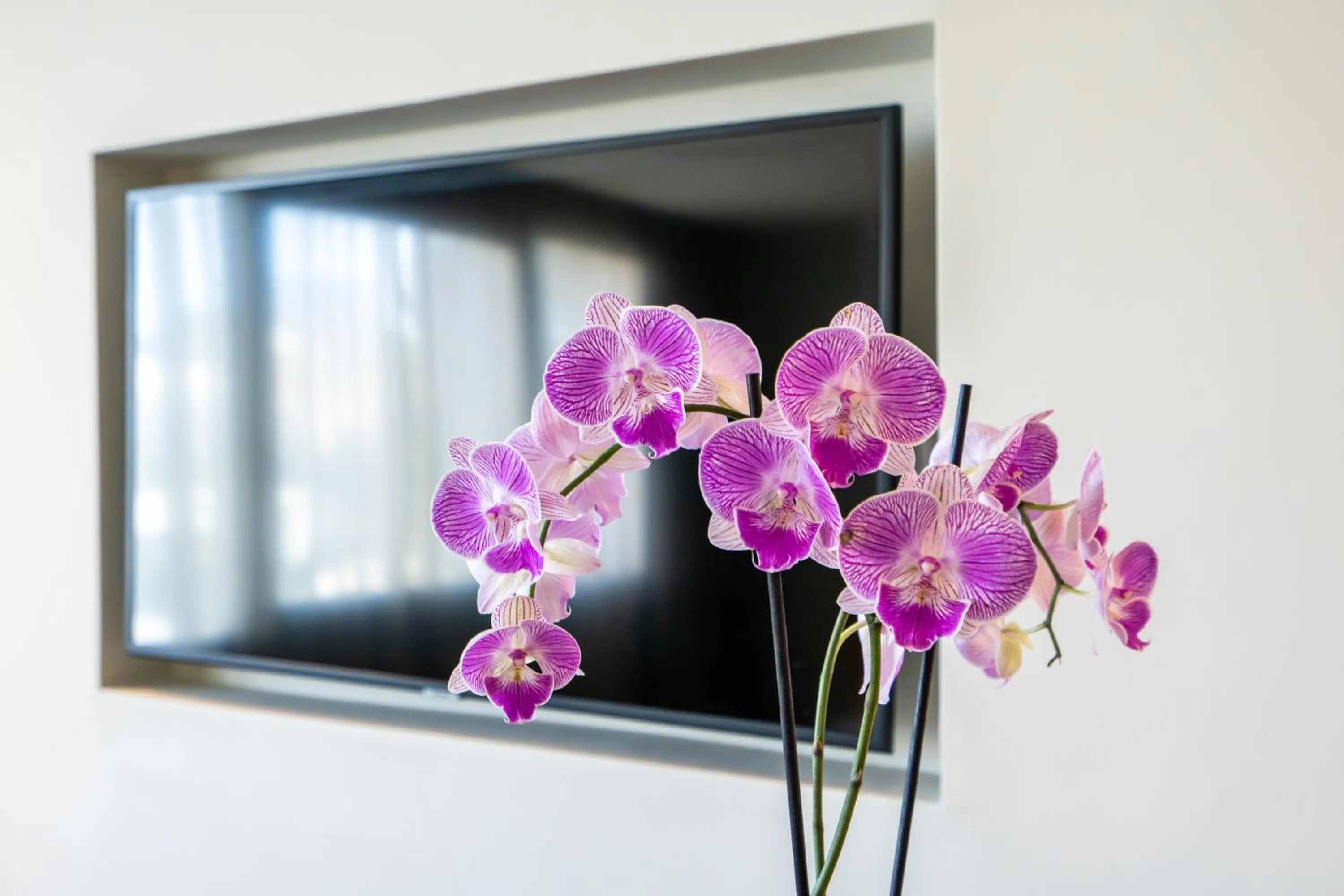 JM Suites Hotel Eco-Friendly Casablanca