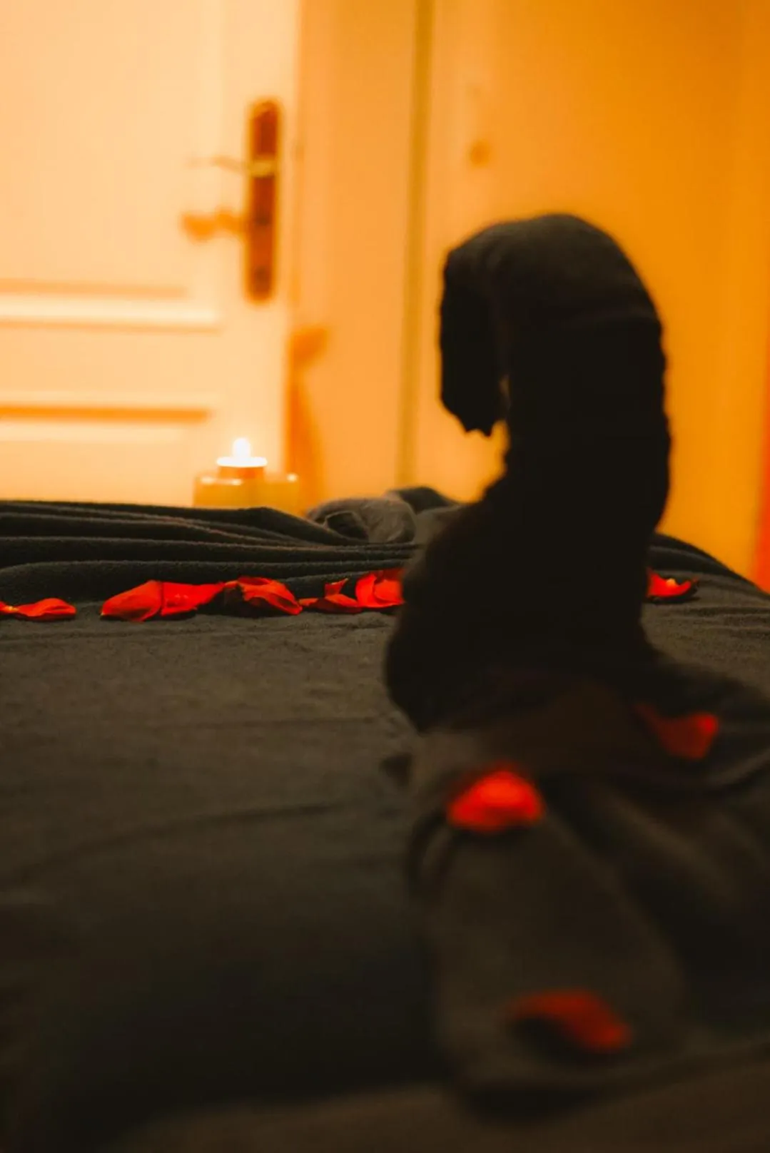 Spa and wellness centre/facilities, Bed in El Minzah Hotel