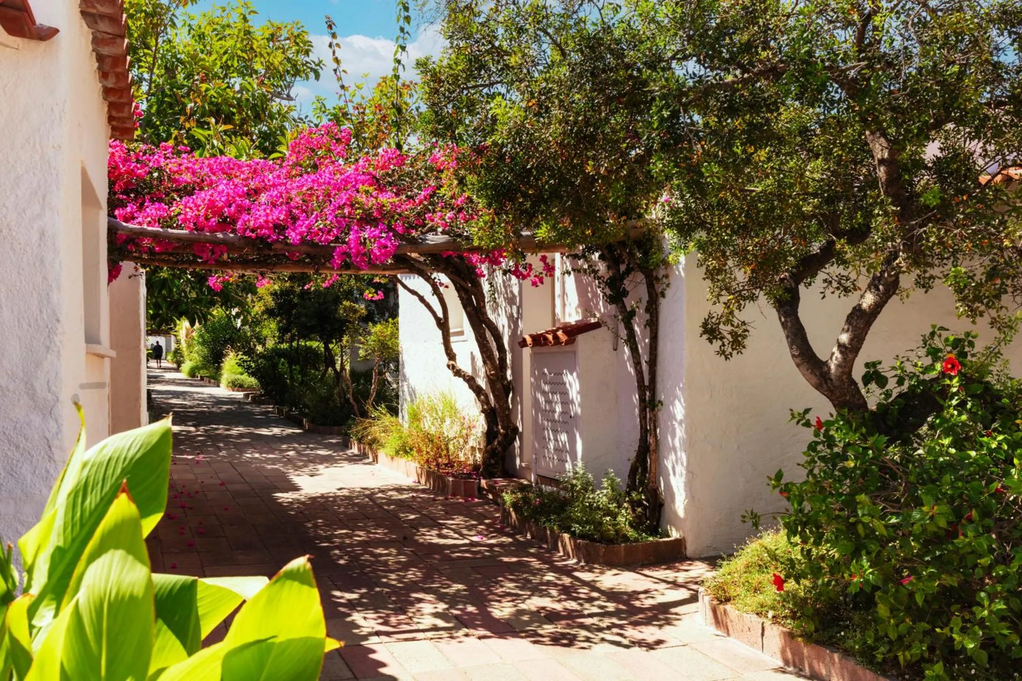 Garden in AMASEA Resort